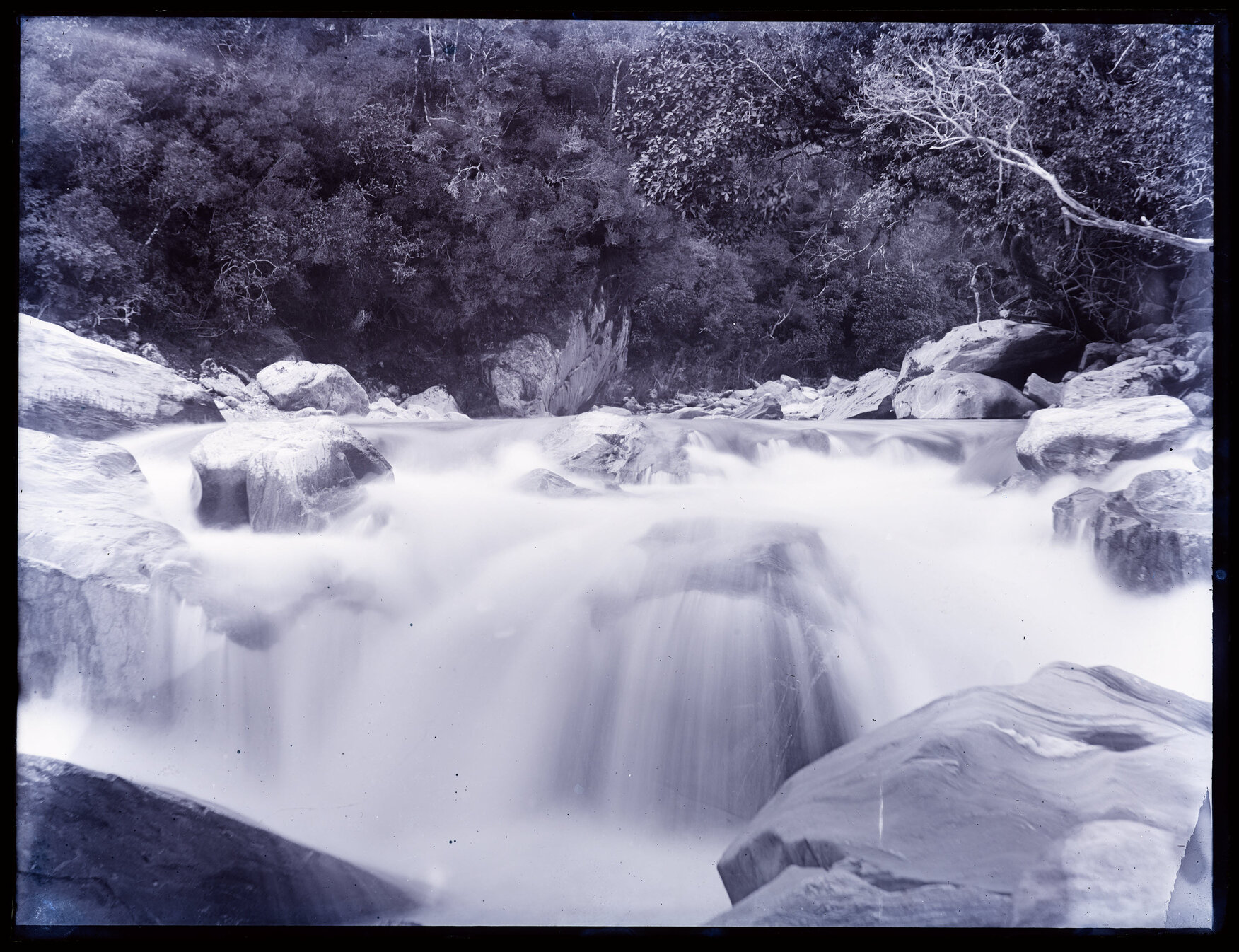 Water flowing over rocks in a creek, Westland 