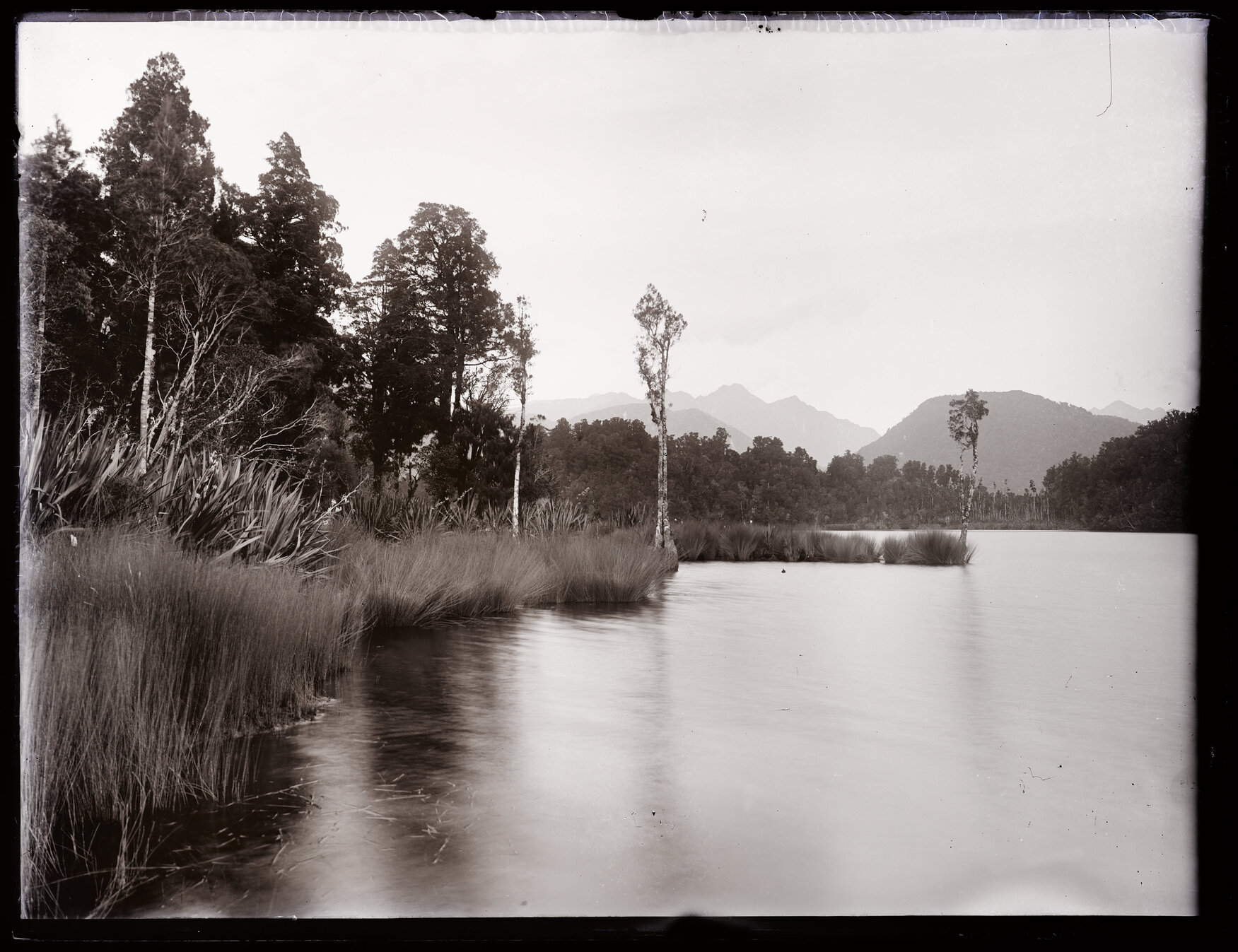 Wetland at the edge of an unidentified body of water, Westland