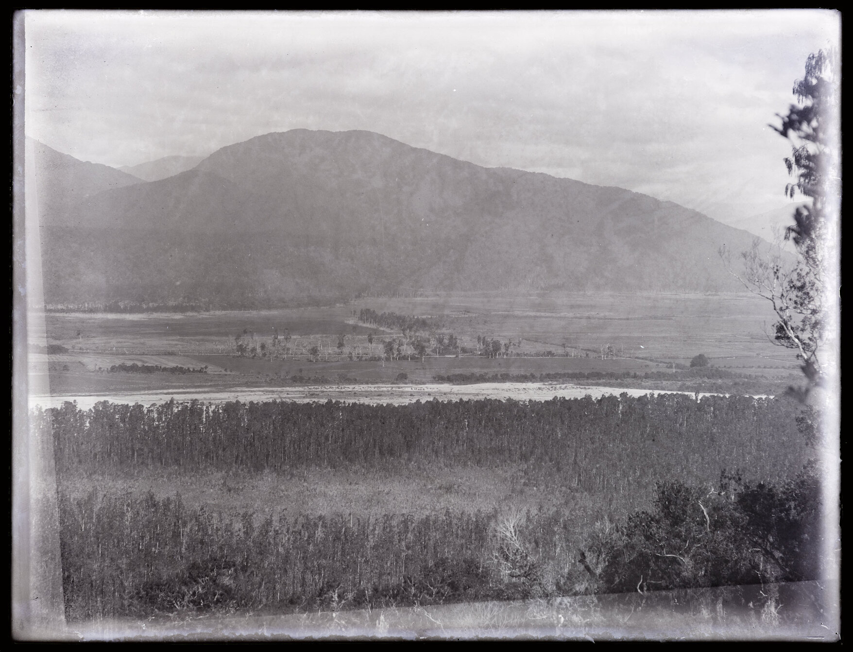 Farm paddocks with bush on either side, Westland