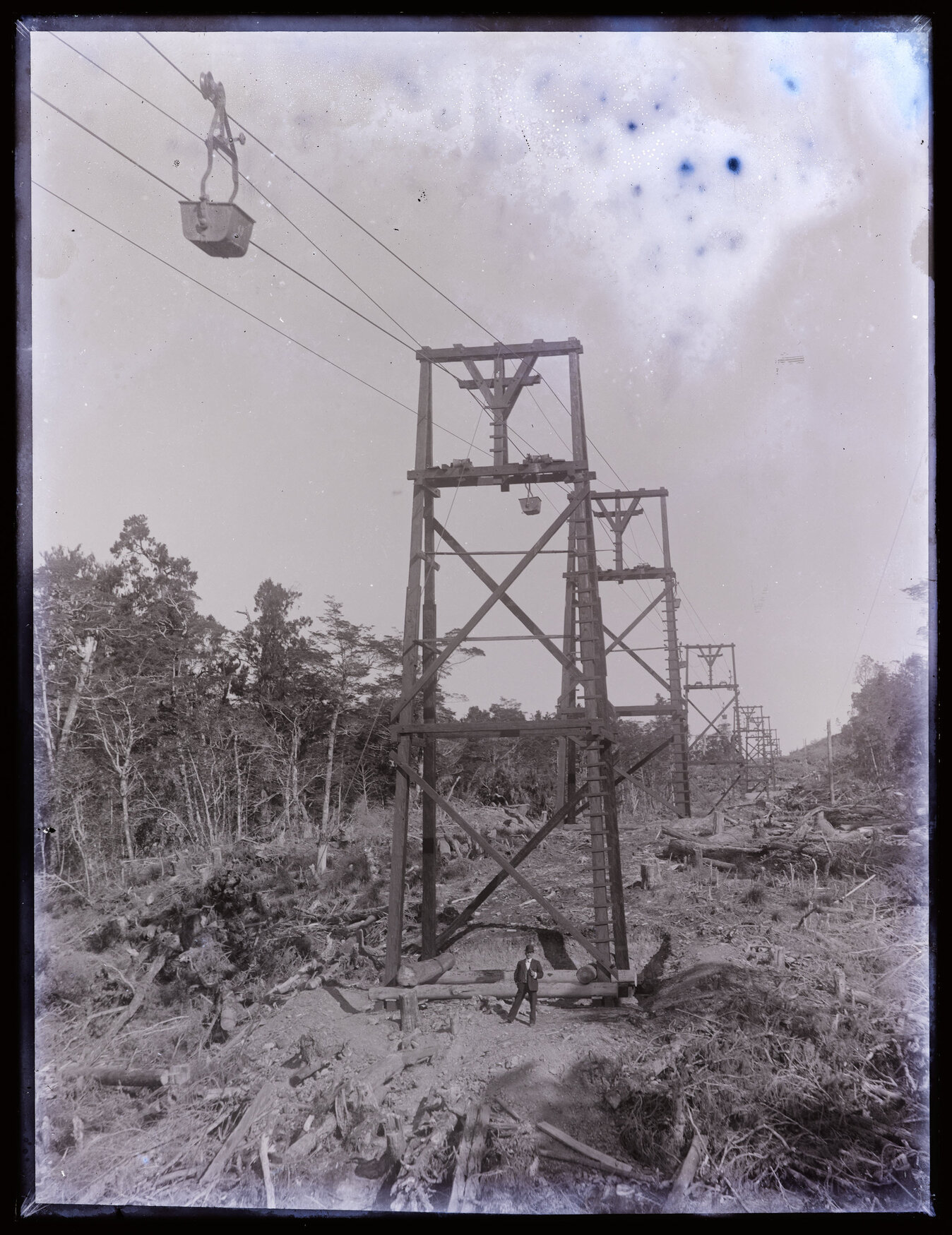 Person standing underneath a bush cableway, Westland