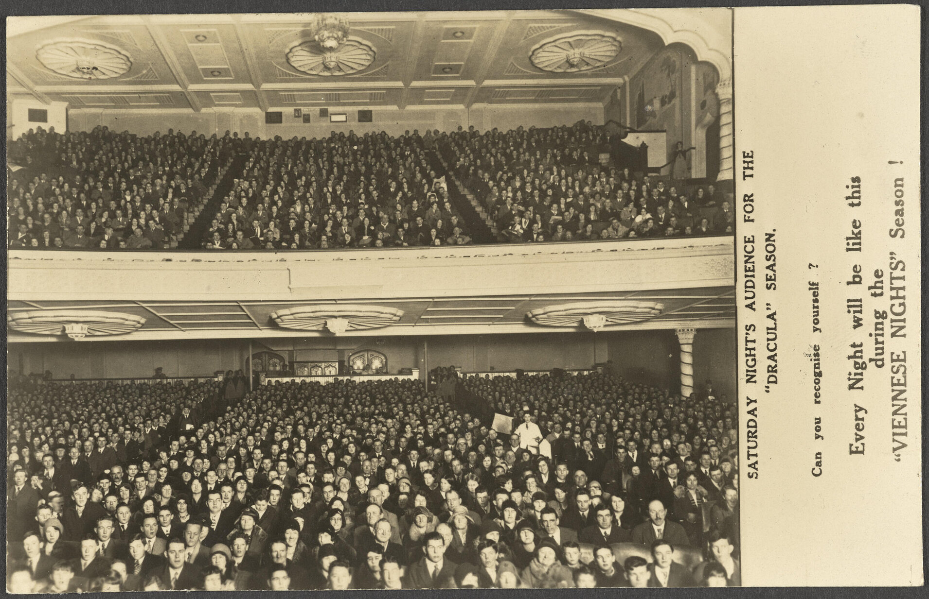 Saturday Night's Audience for the 'Dracula' Season