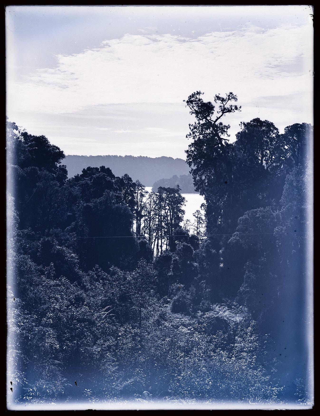 View through trees towards unidentified body of water