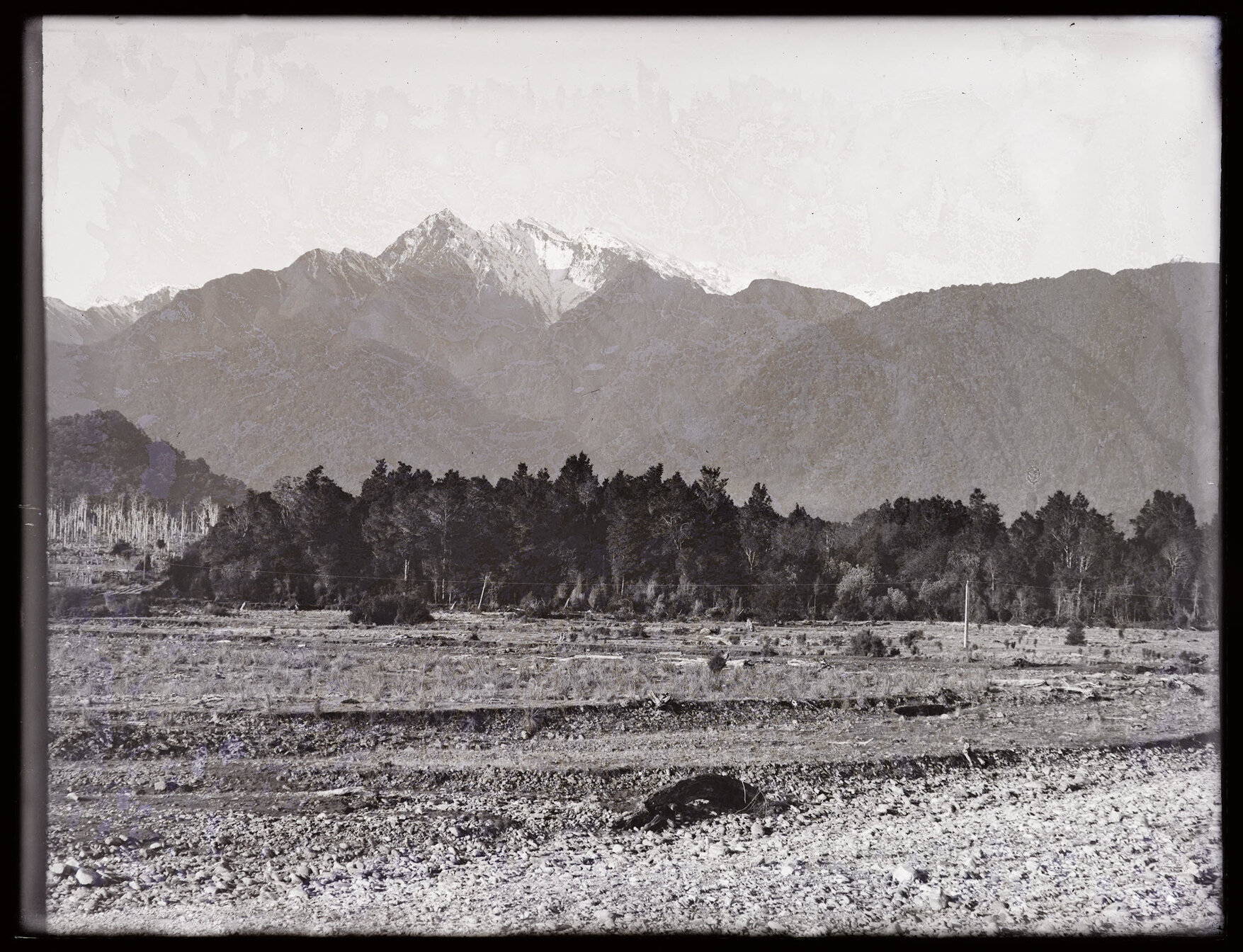 View [from river bed?] towards forest and mountains
