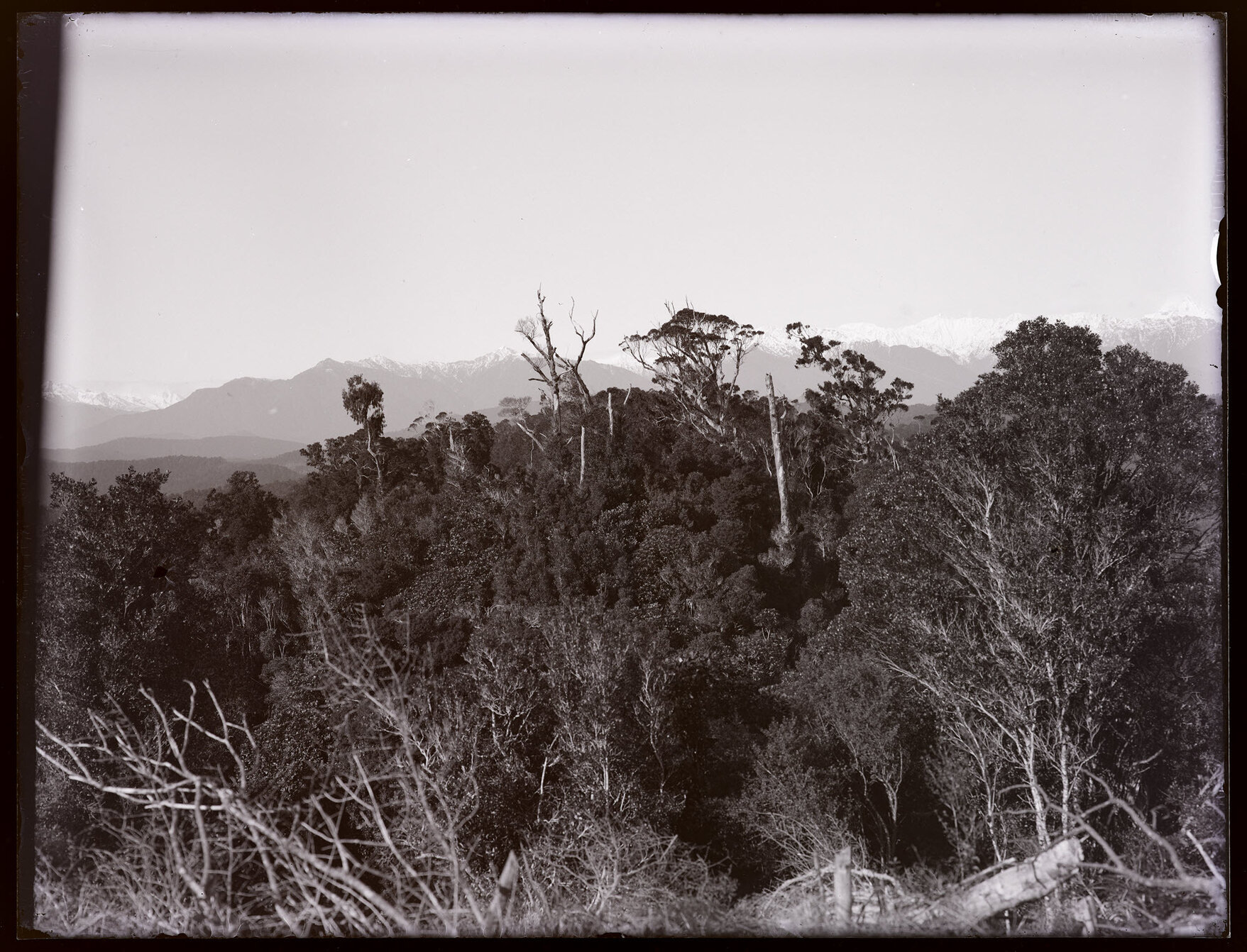 View through trees to mountains
