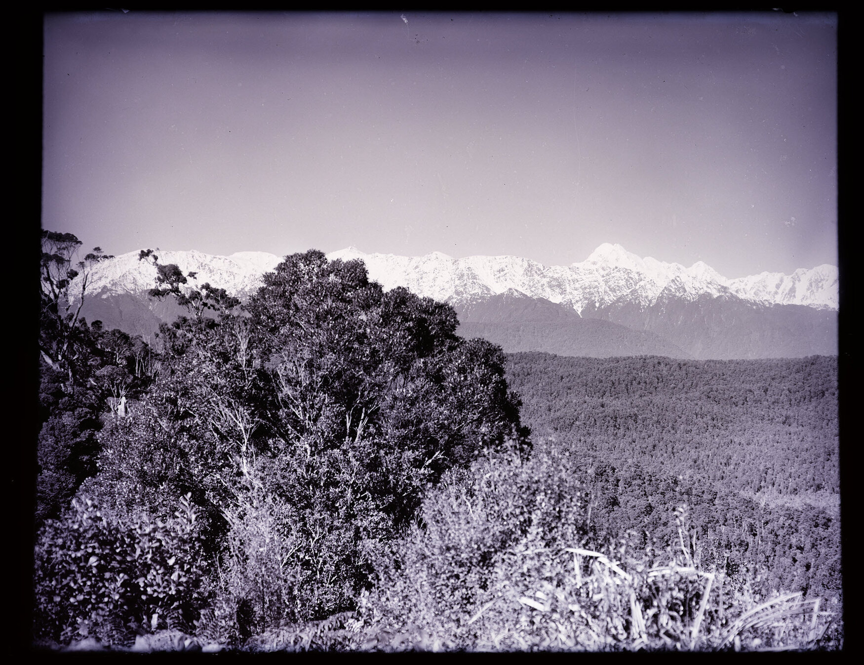 View over forested hills to mountains