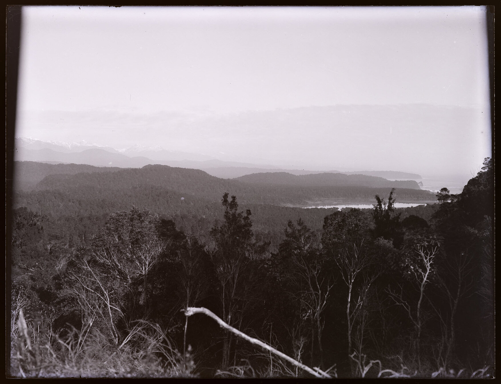 View over forested hills