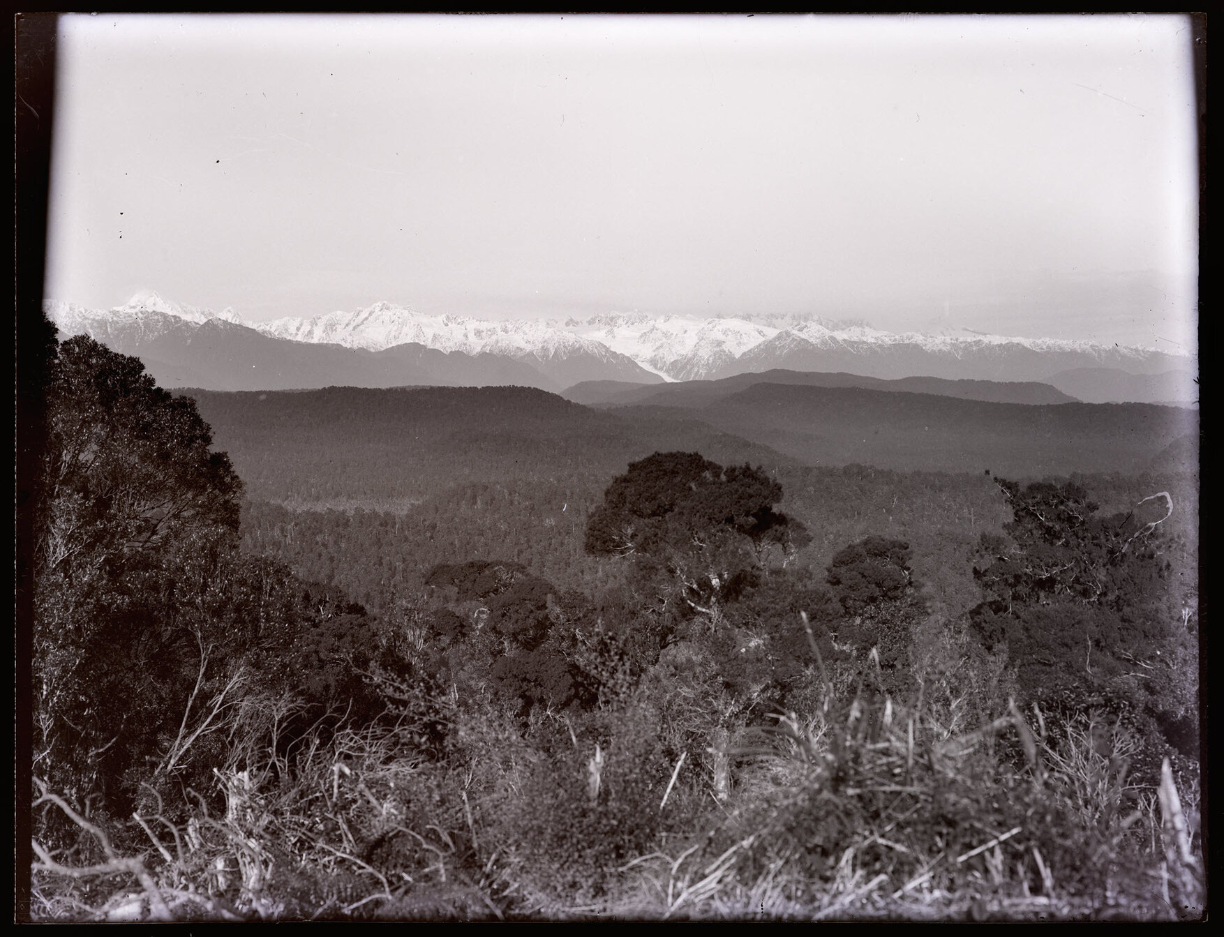 View over forested hills to mountains