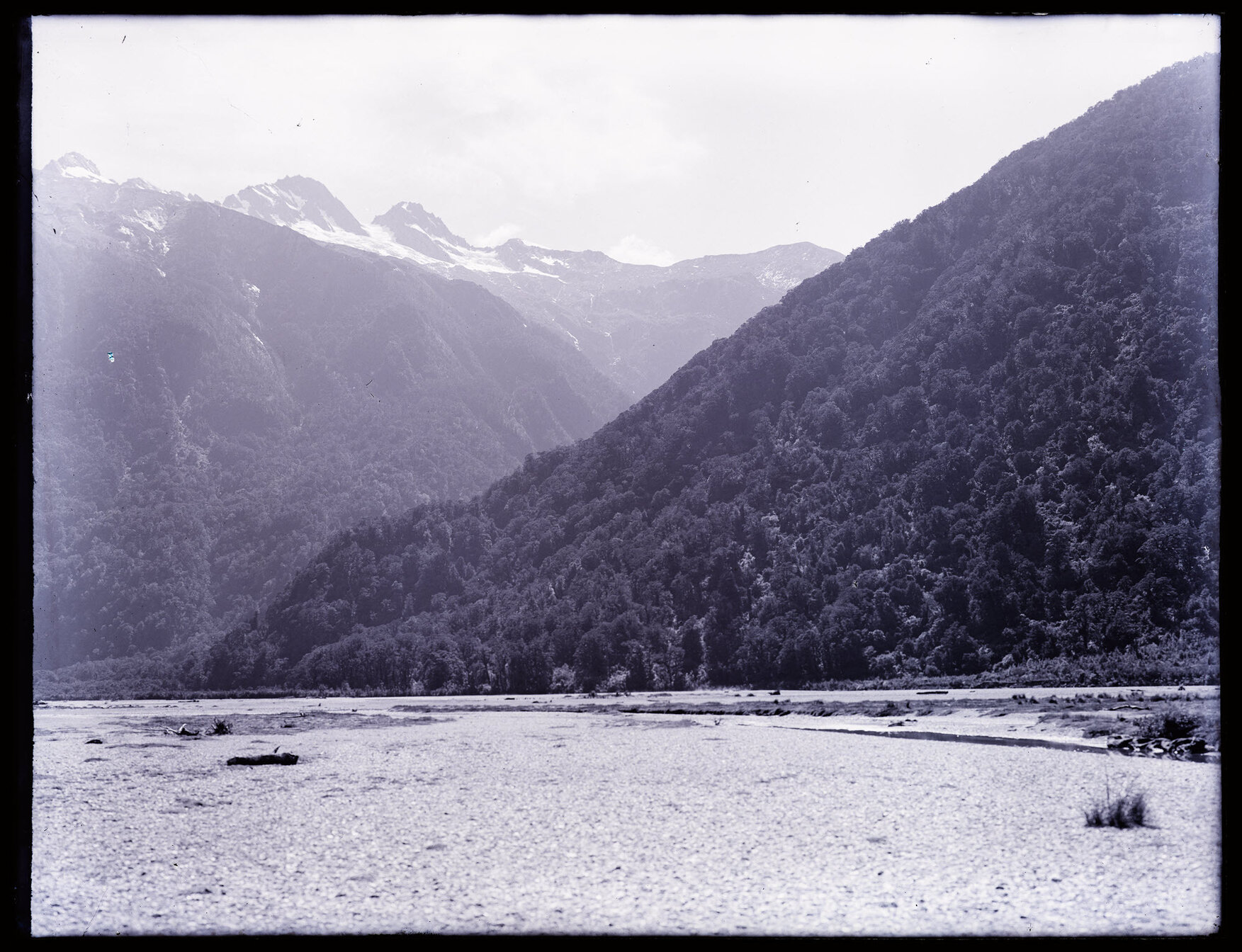 Forested mountainside from riverbank