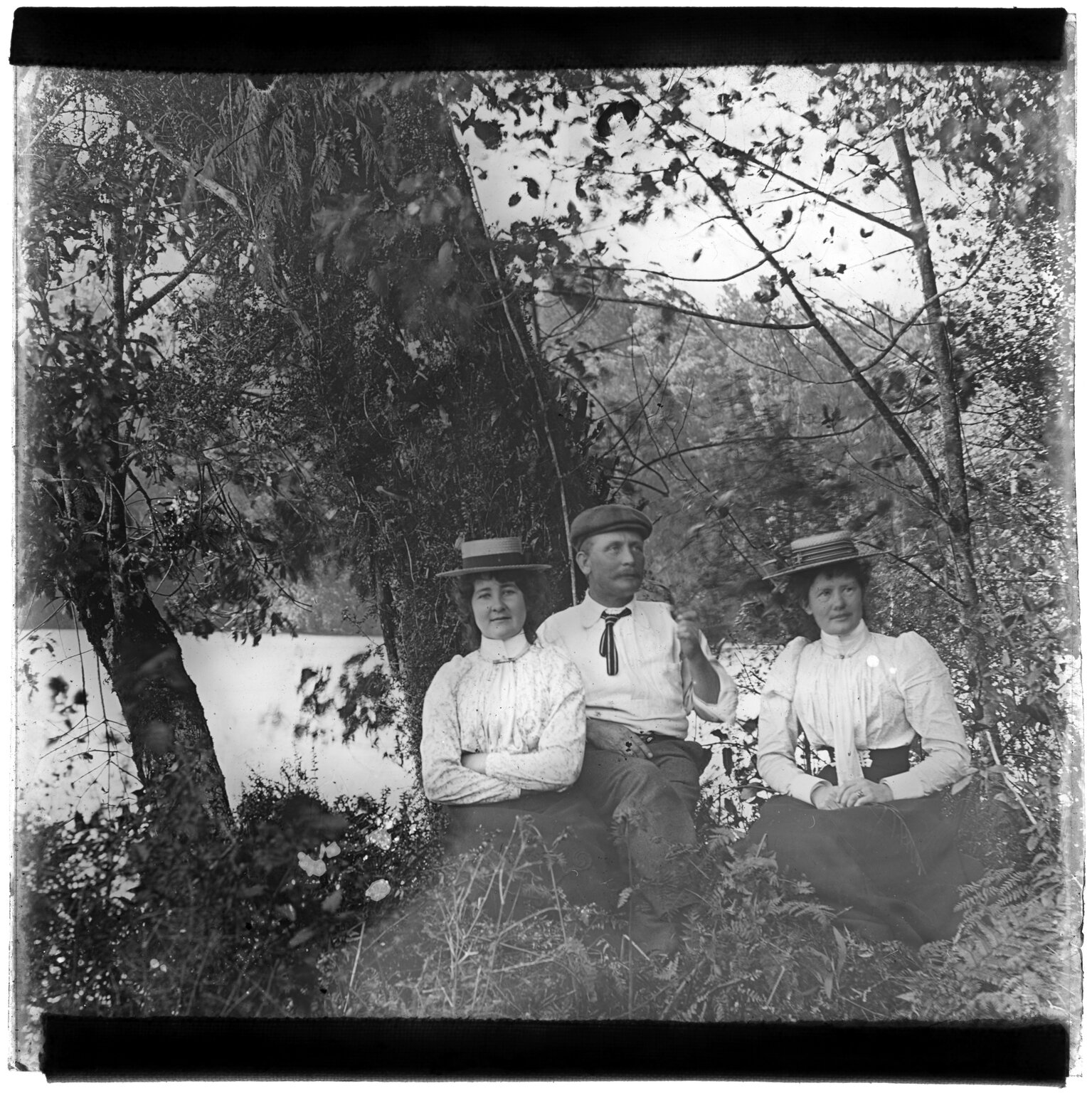 Three people sitting next to trees at waterside