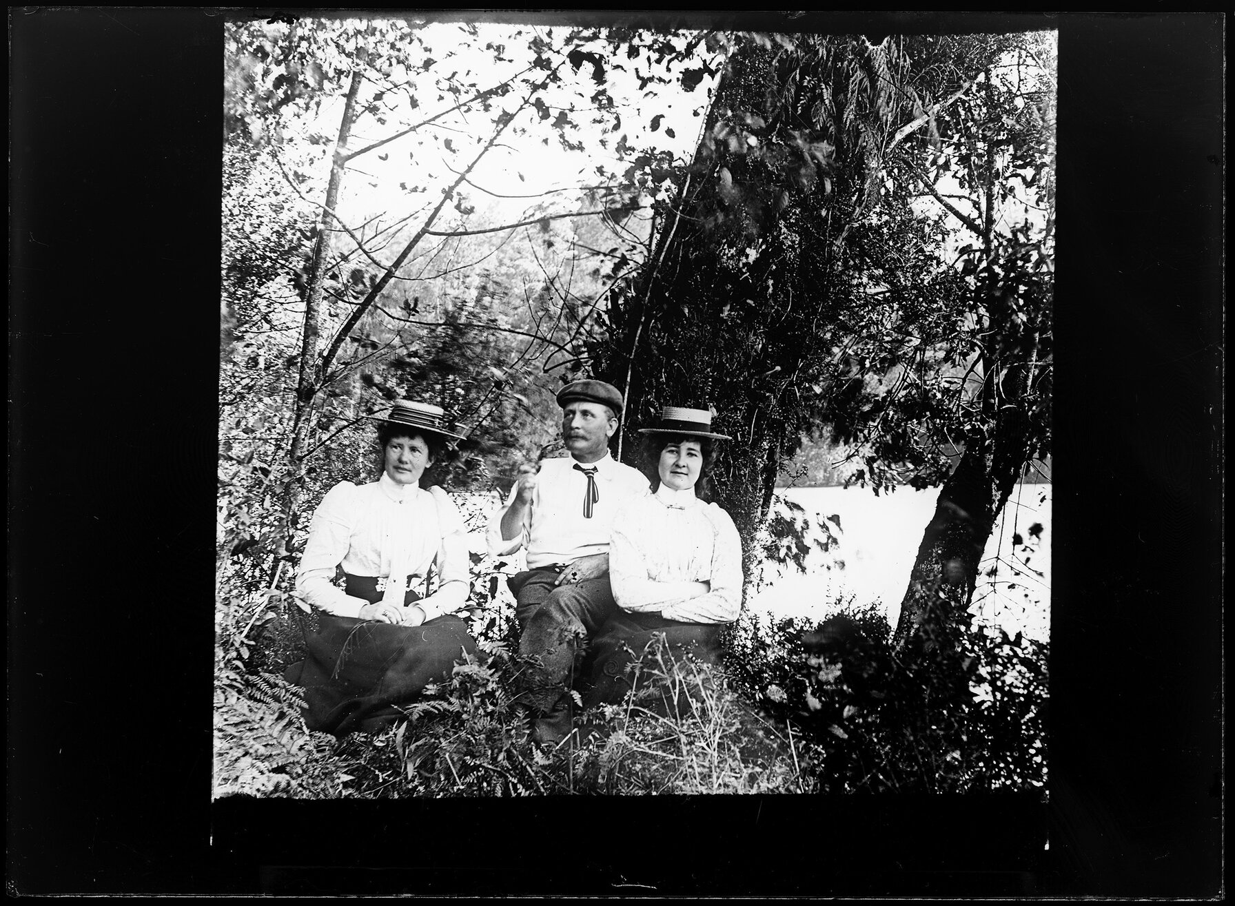 Three people sitting next to trees at waterside