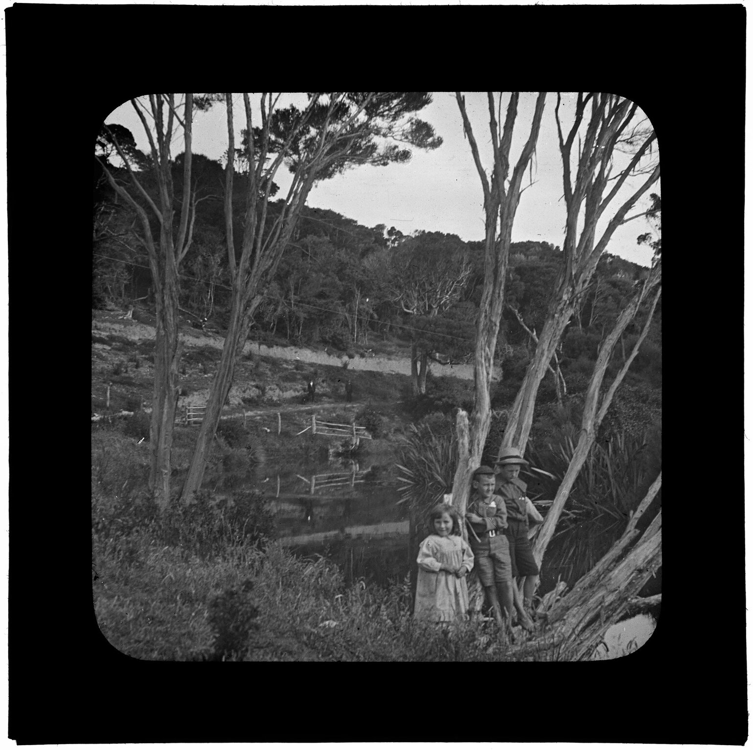 Three children among trees with hillside behind