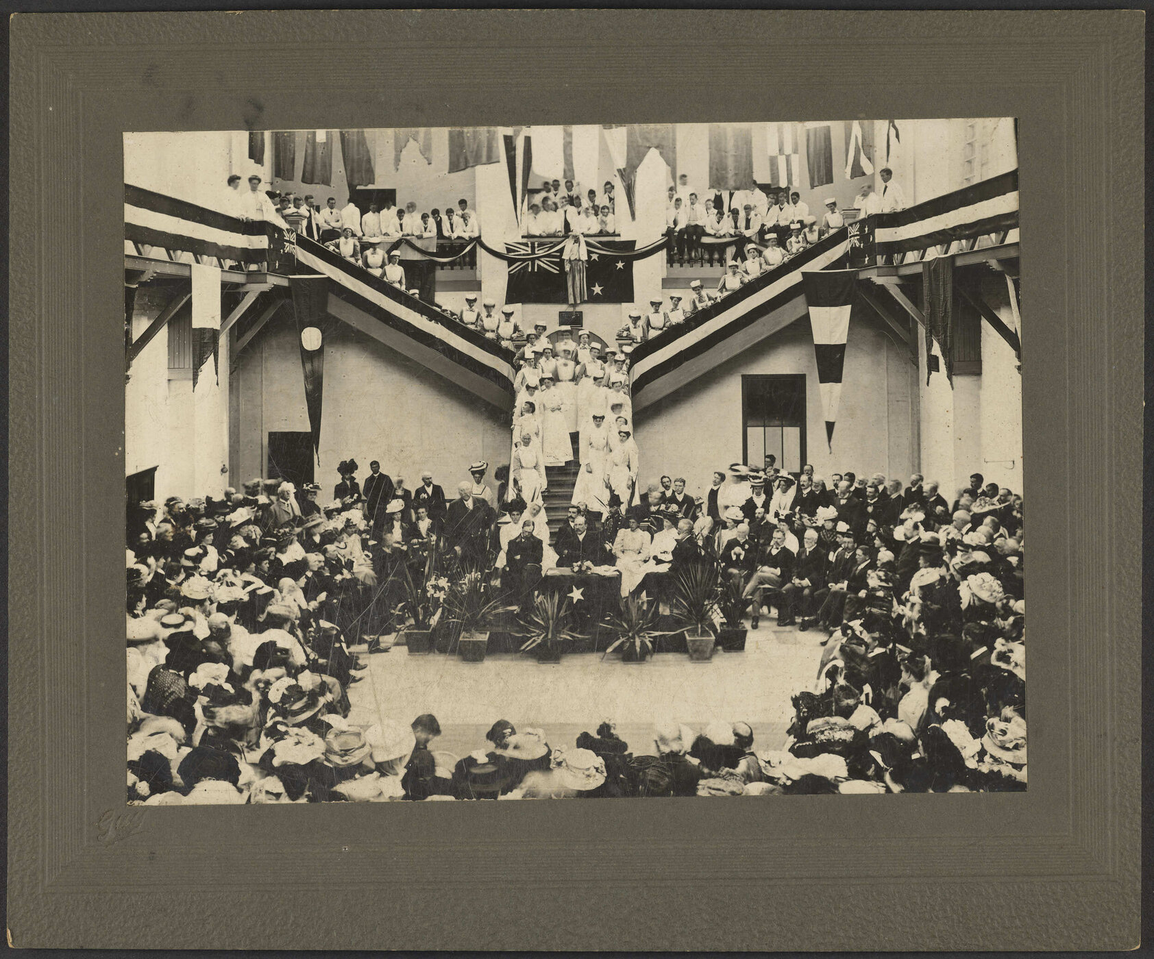 Opening Miller Ward, Dunedin Hospital