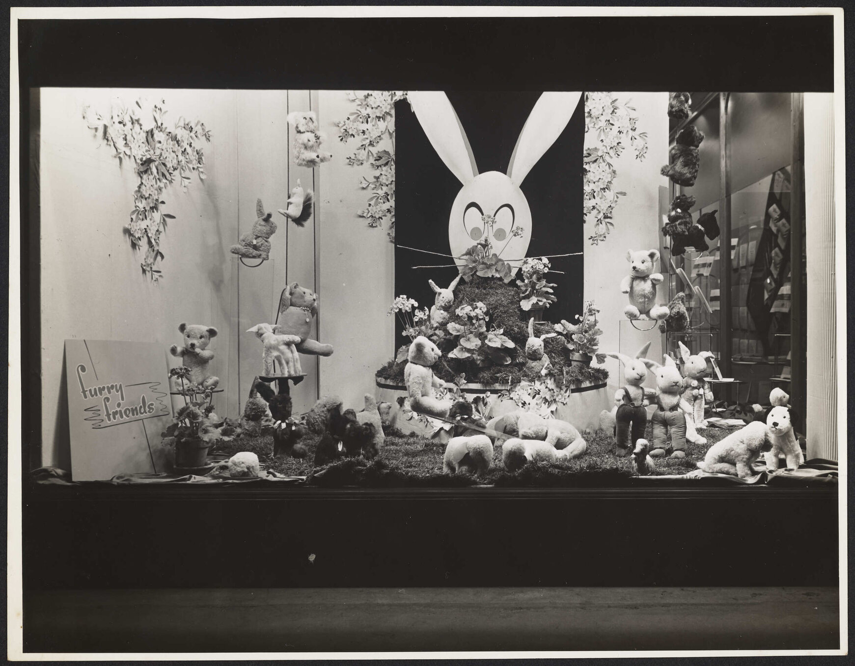 'Furry friends'' window display