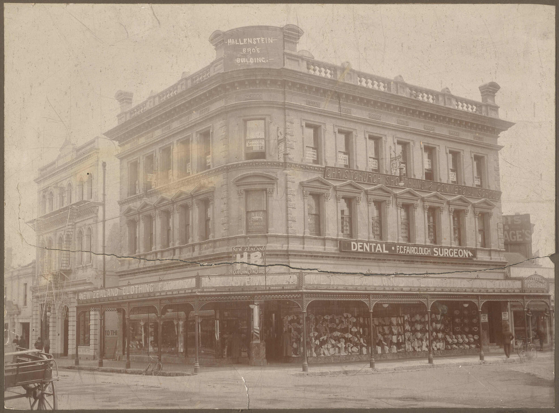 Hallenstein Brothers branch premises, Christchurch
