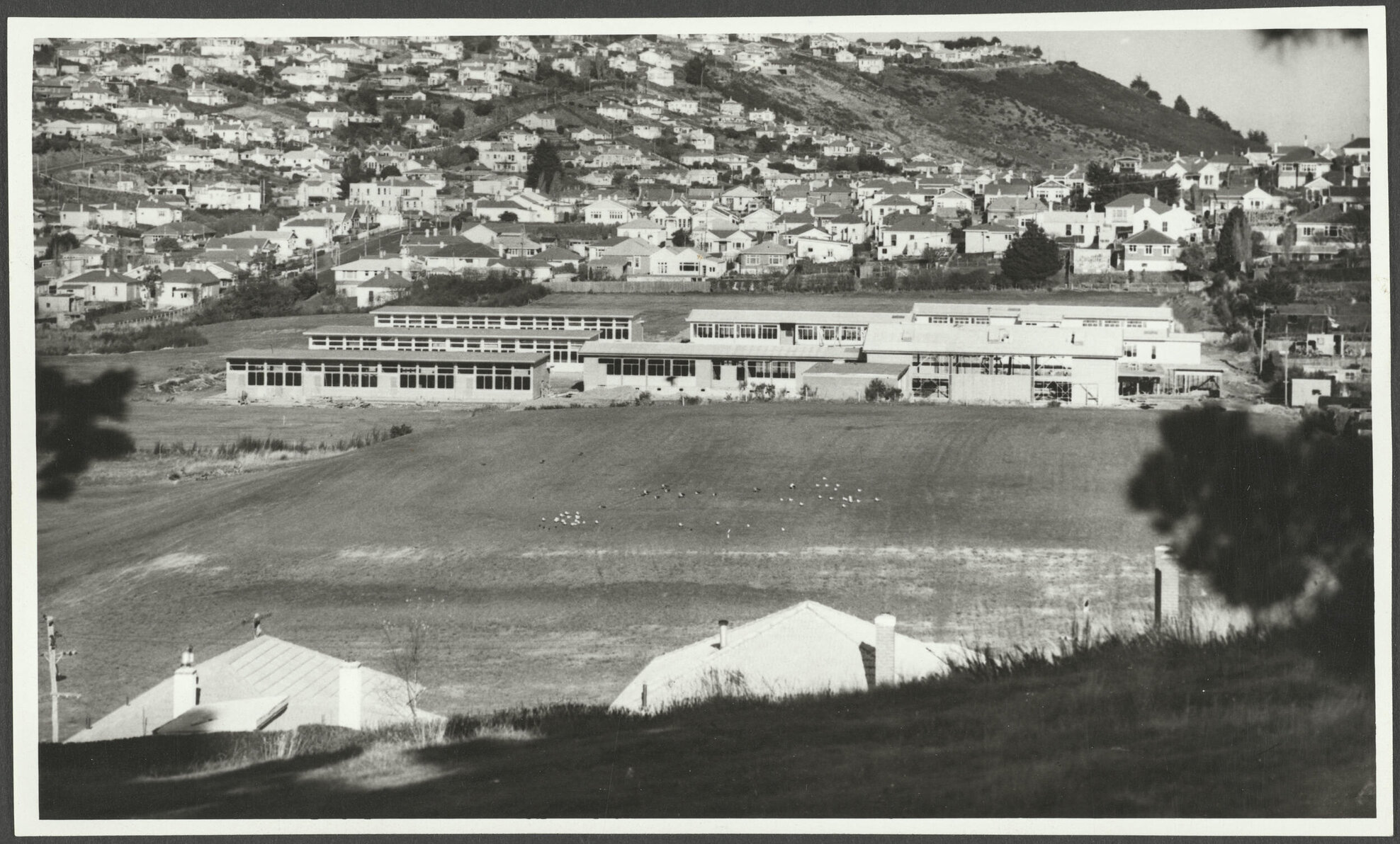 View over Balmacewen Intermediate School during construction