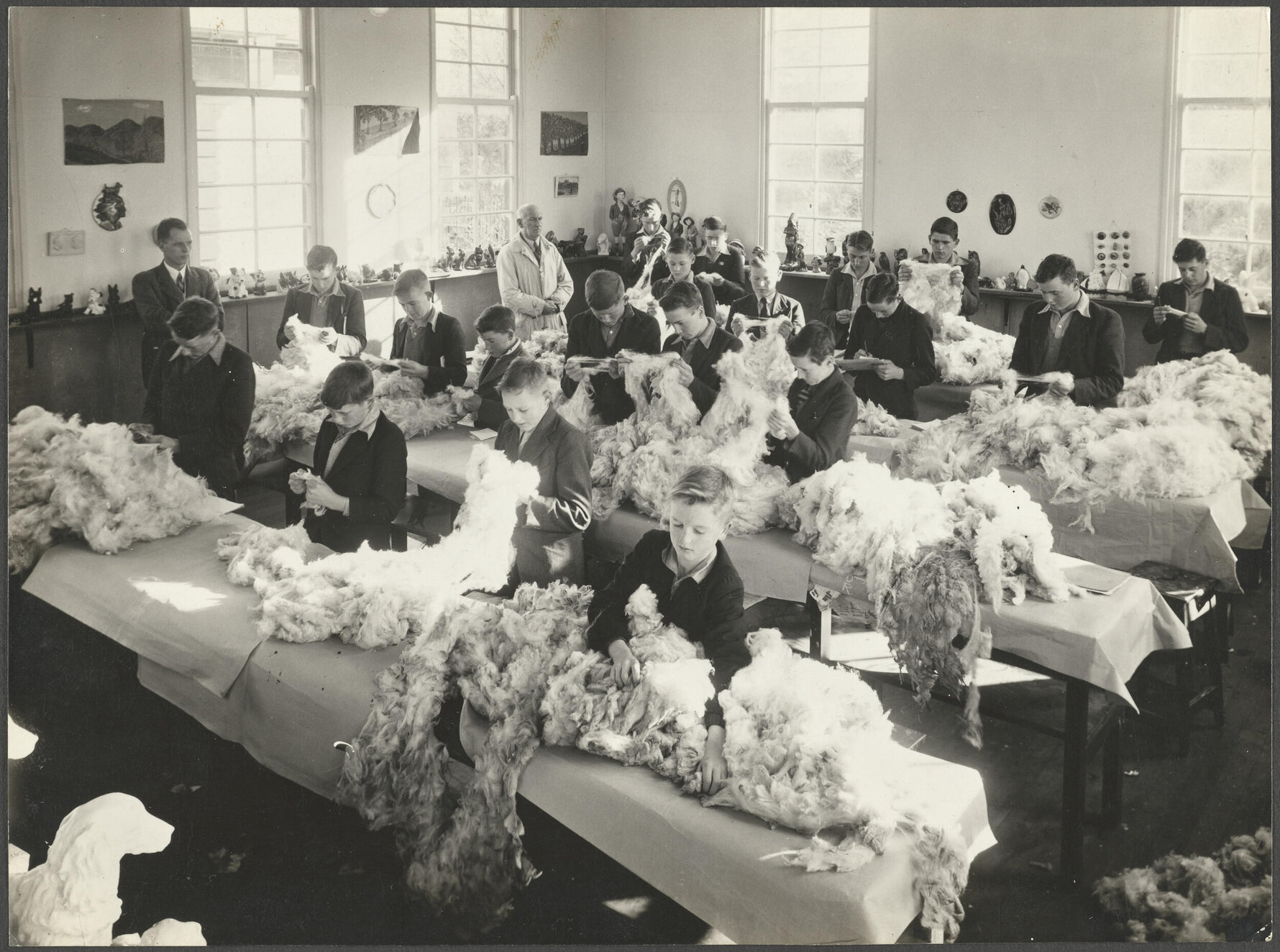 Wool Classing, Mosgiel District High School