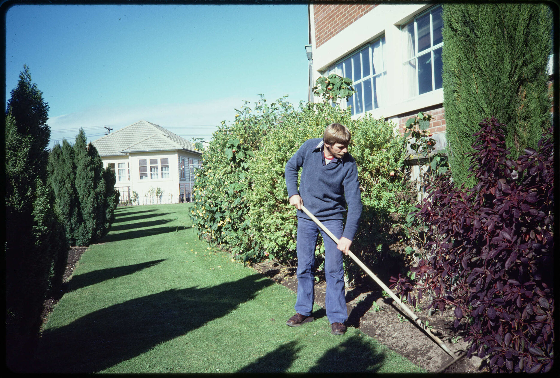 Gardening