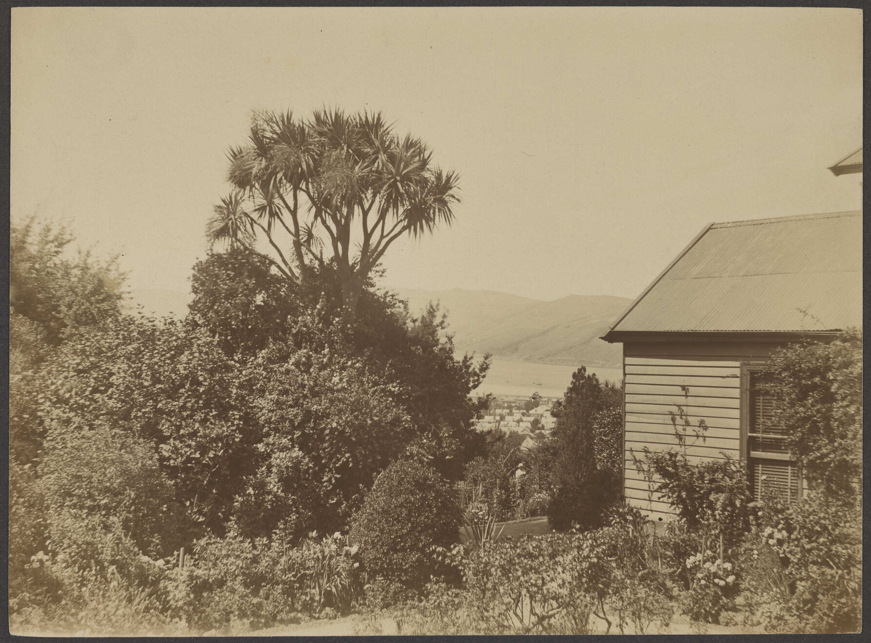 View from Manono