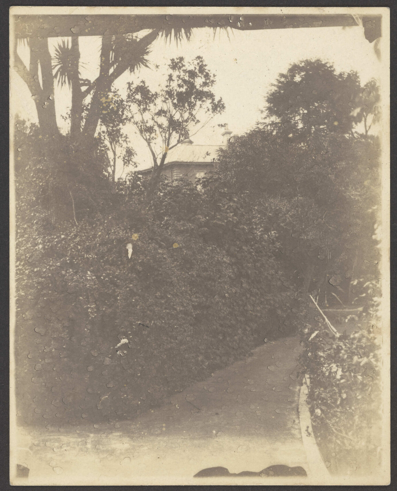 'Manono - path to front gate and London St'