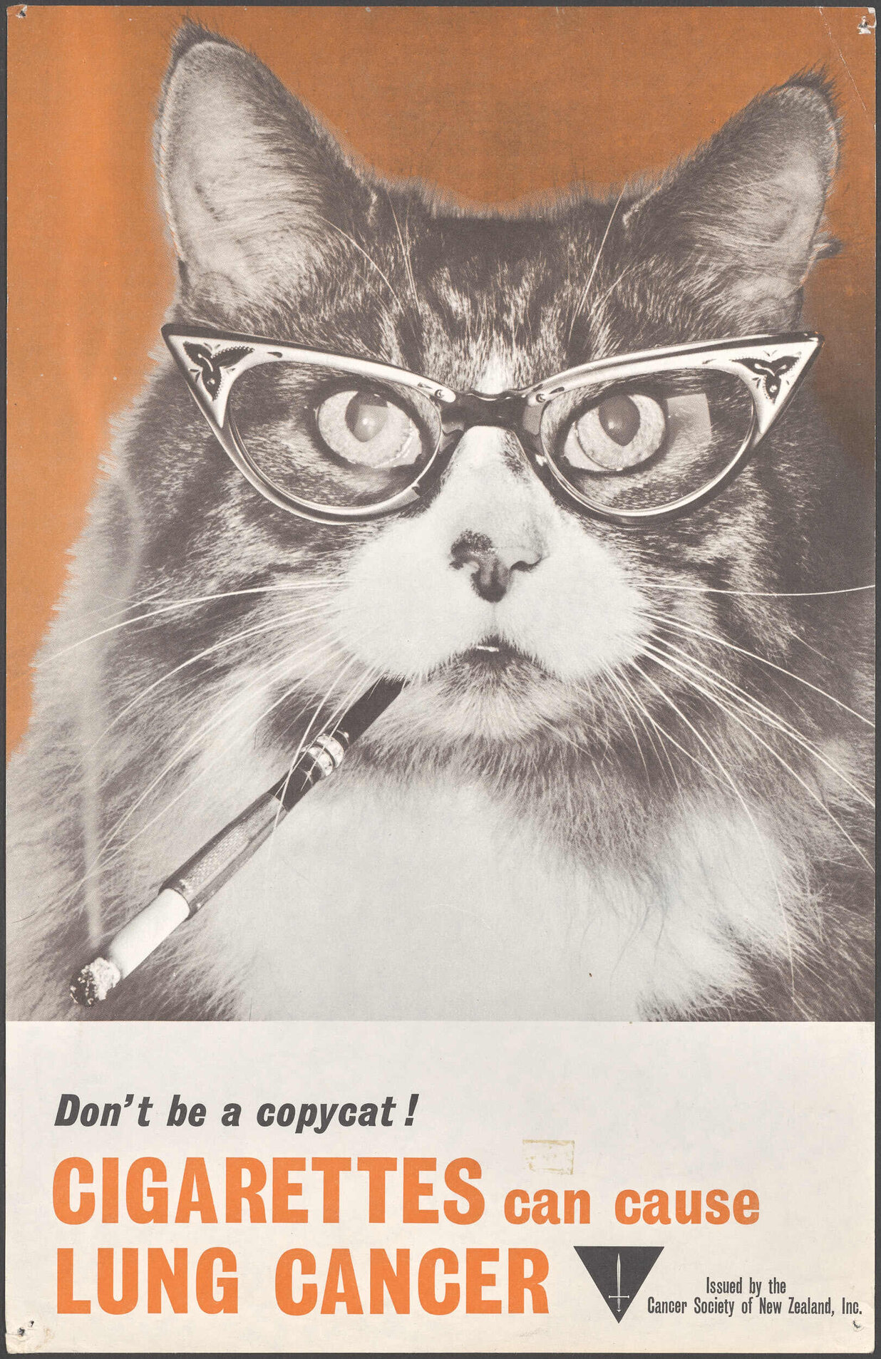 "Don't be a copycat! Cigarettes can cause Lung Cancer"