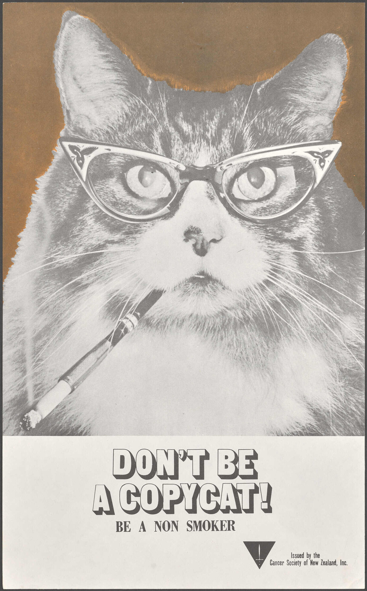 "Don't Be A CopyCat! Be A Non Smoker"