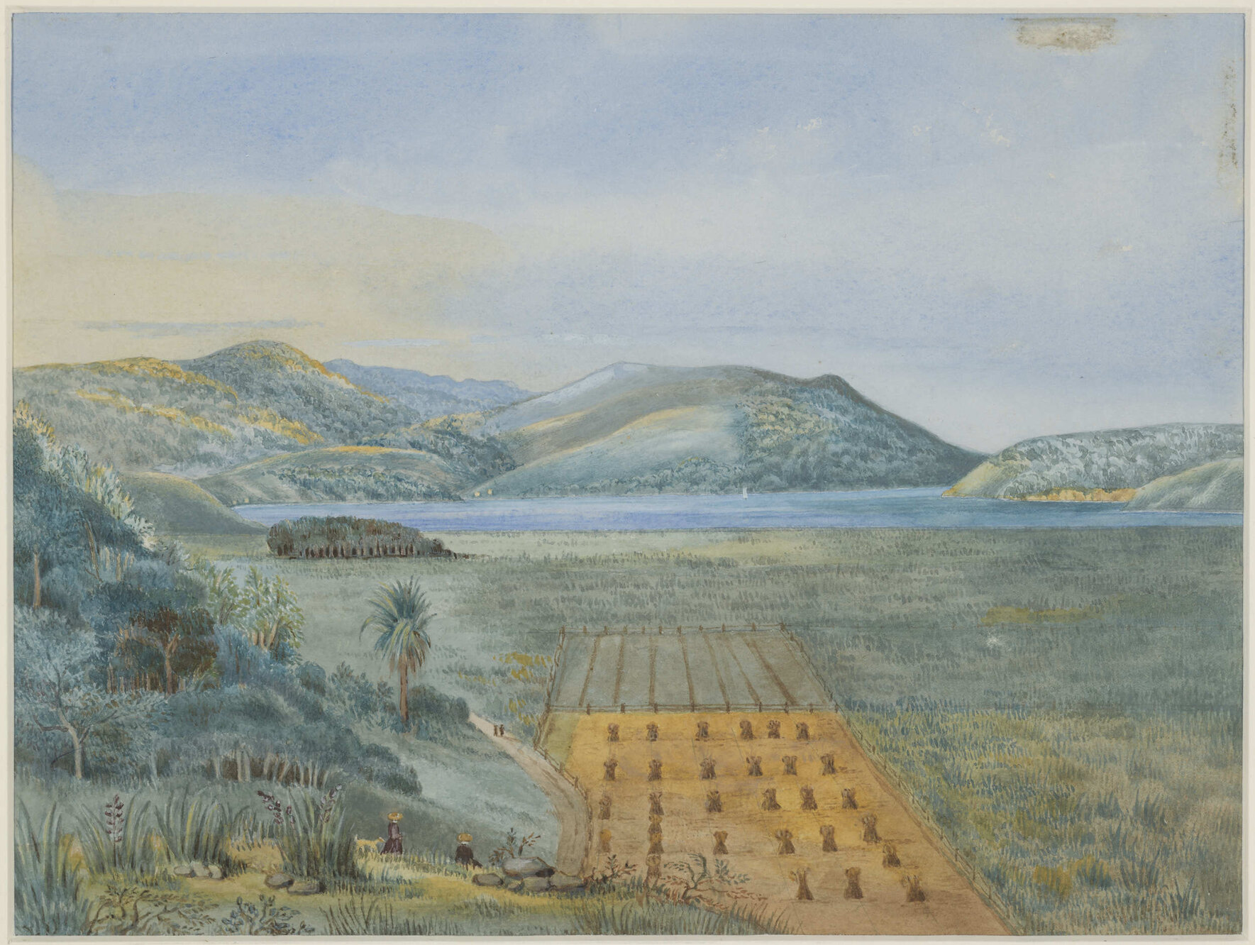 Dunedin 1850. View taken from Forbury Hill above Allandale