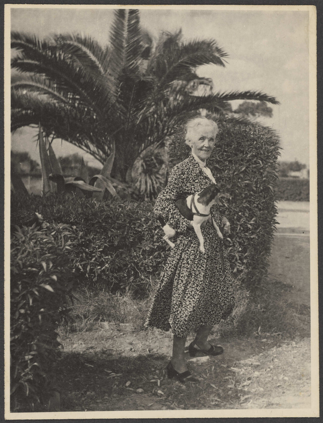Ethel Englefield, Montevideo? 