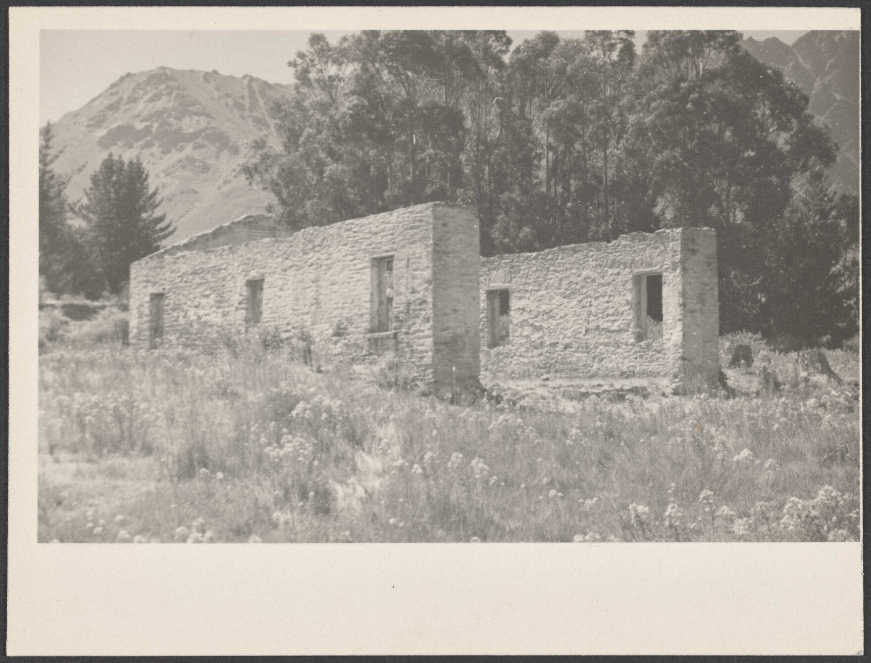  [Hallenstein's Mill on Shotover, Queenstown]