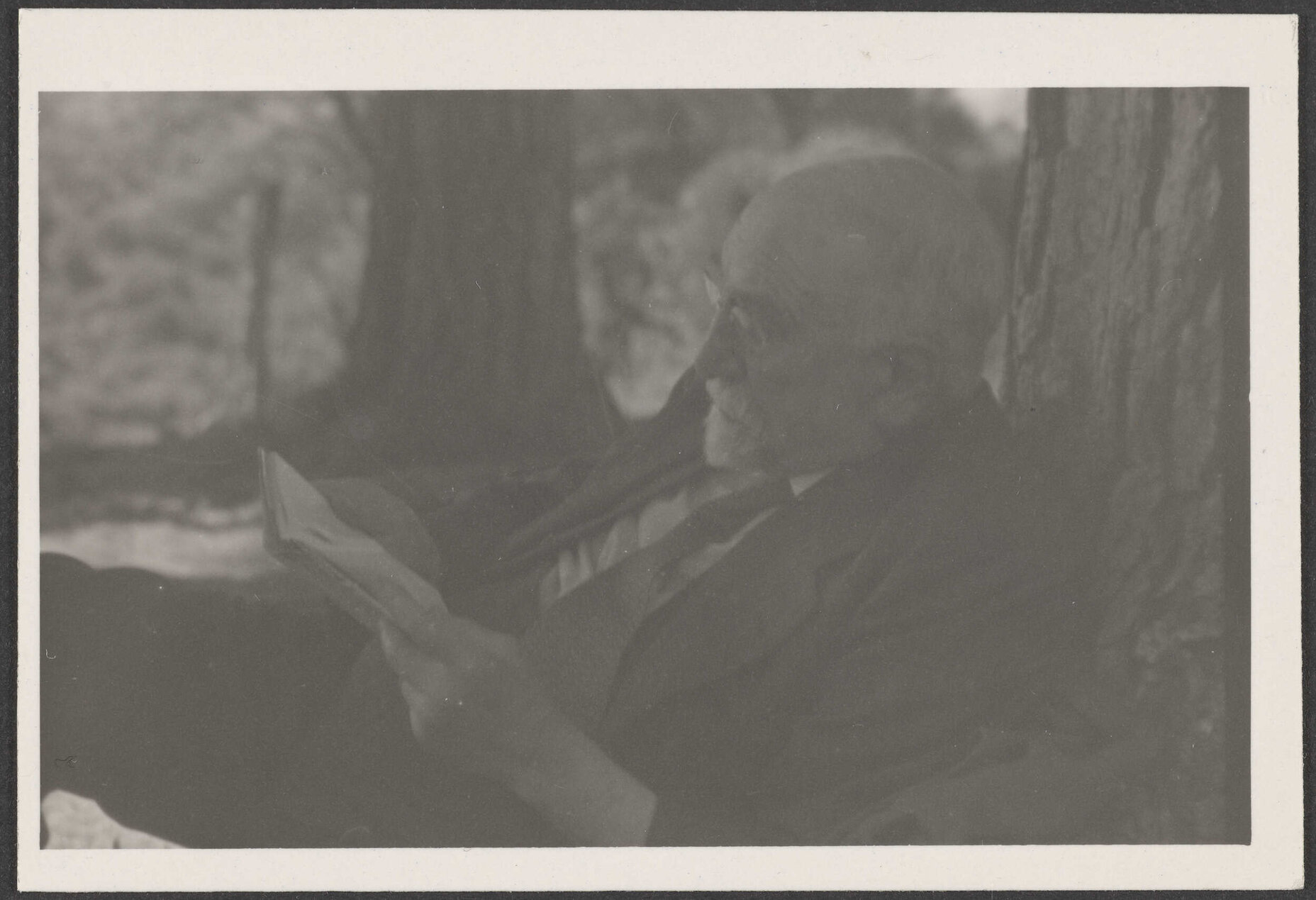 [Willi Fels]