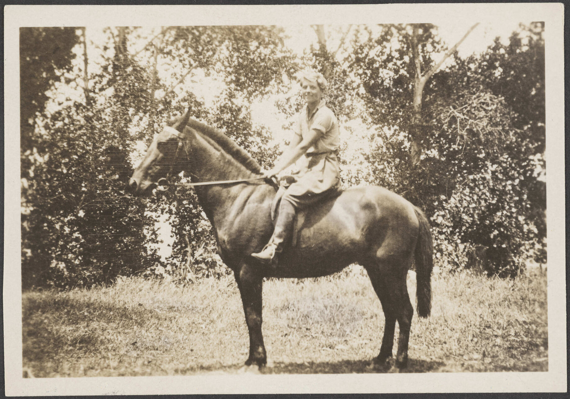 'Tauranga 1930'