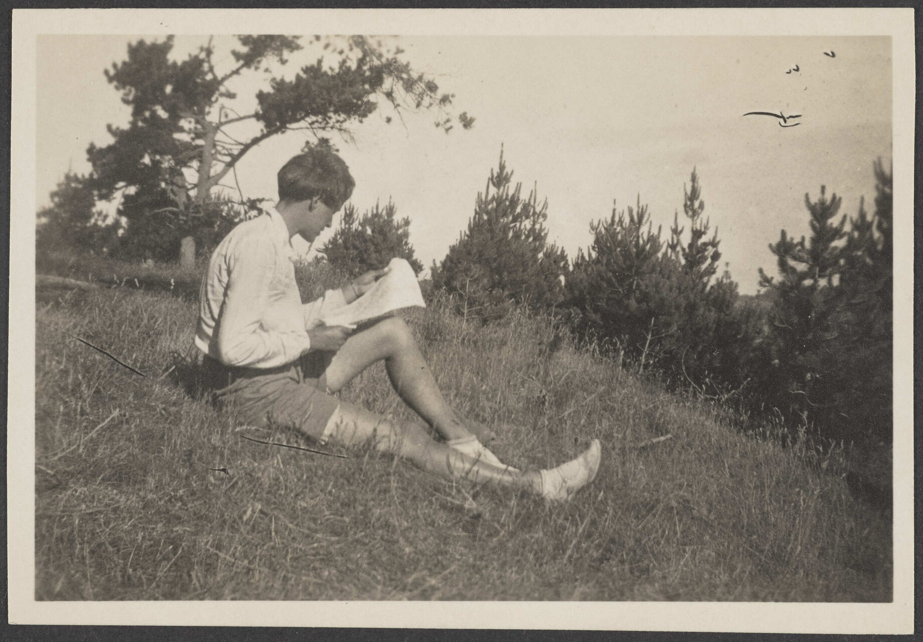 Person sitting on grassy bank, reading