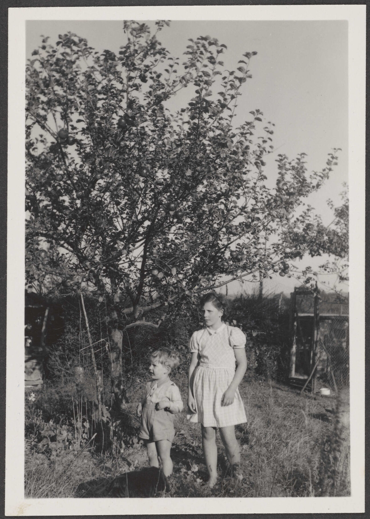 'Margaret and Alex 1950'