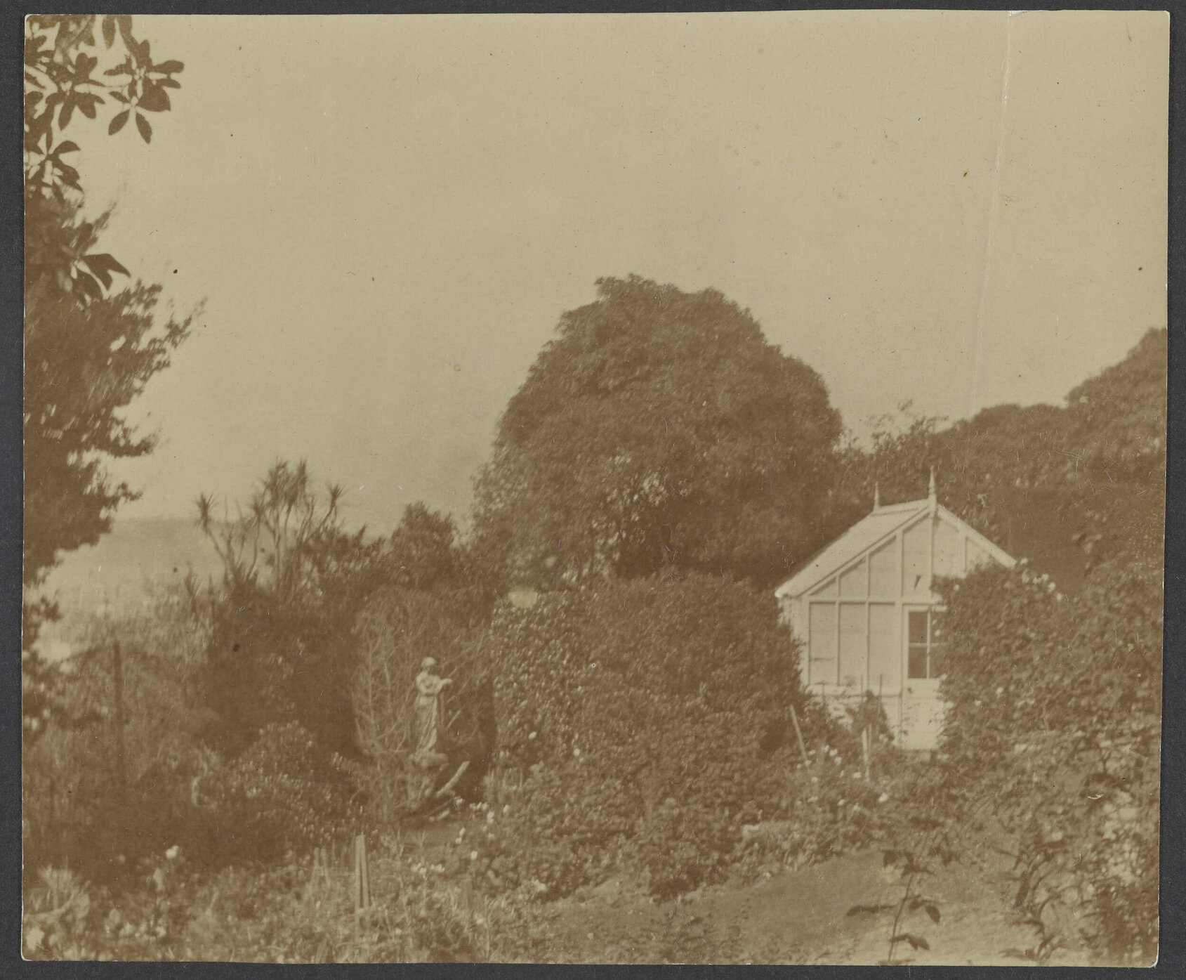 Greenhouse at Manono 