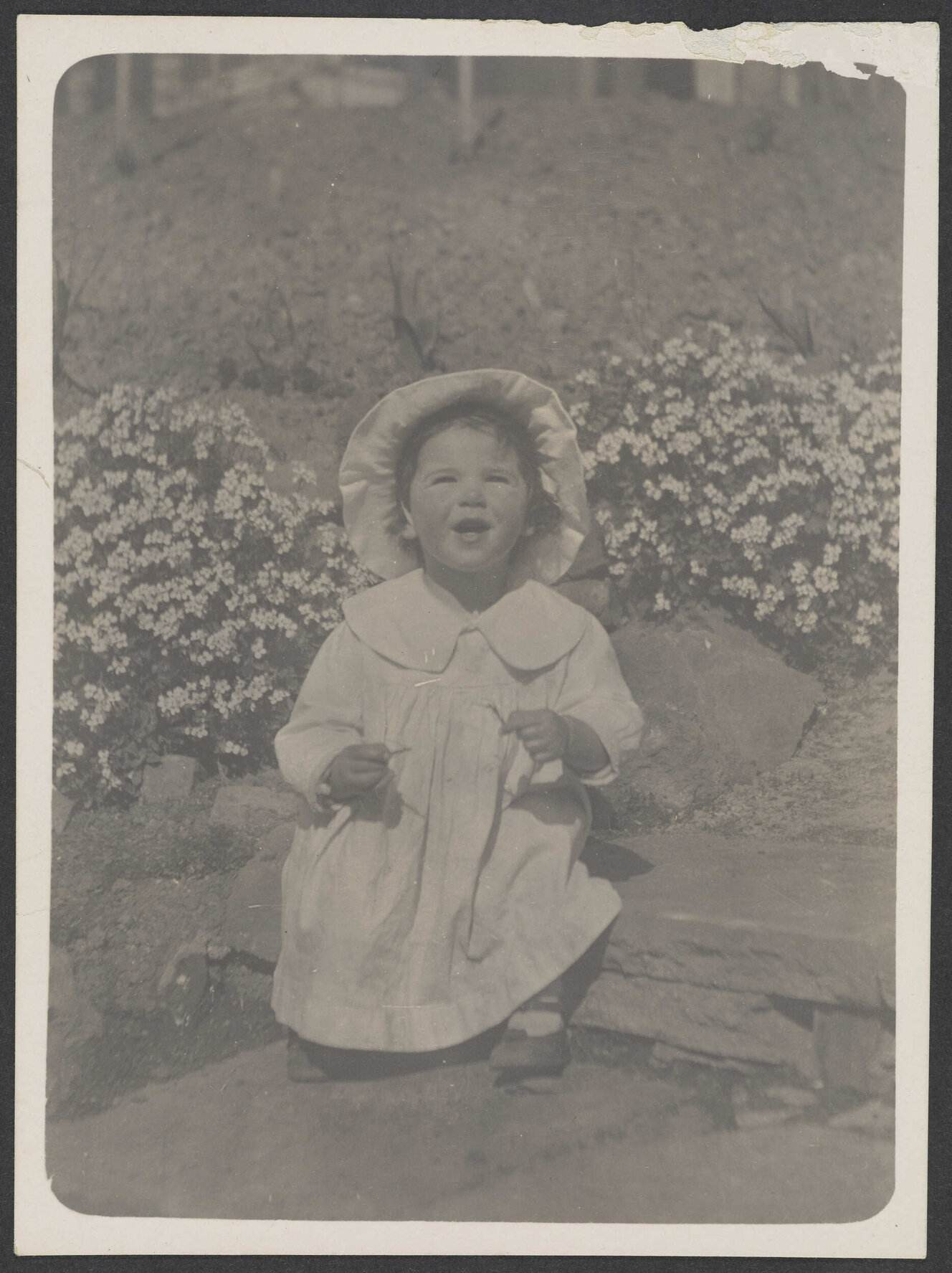 Young Emily