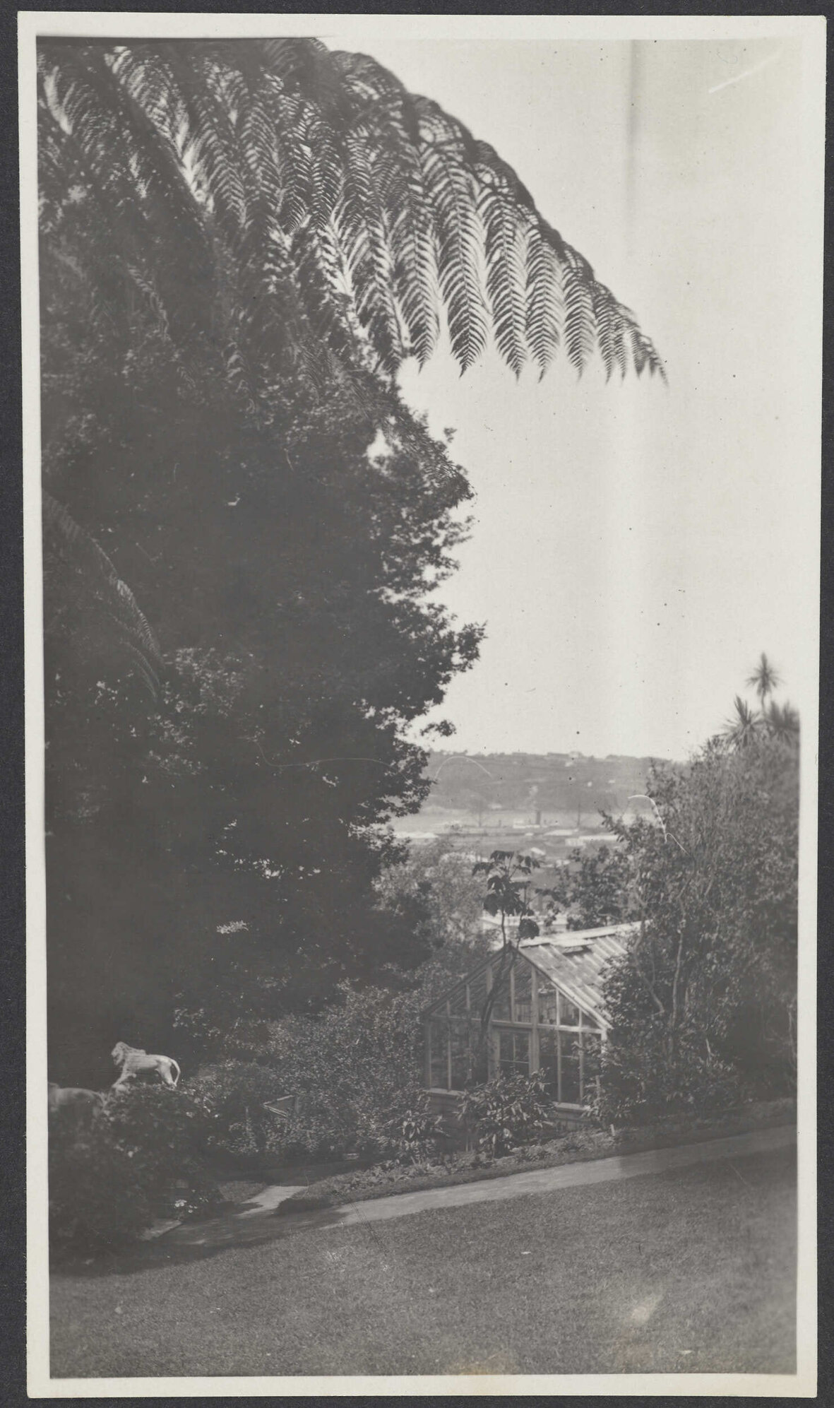 Greenhouse at Manono
