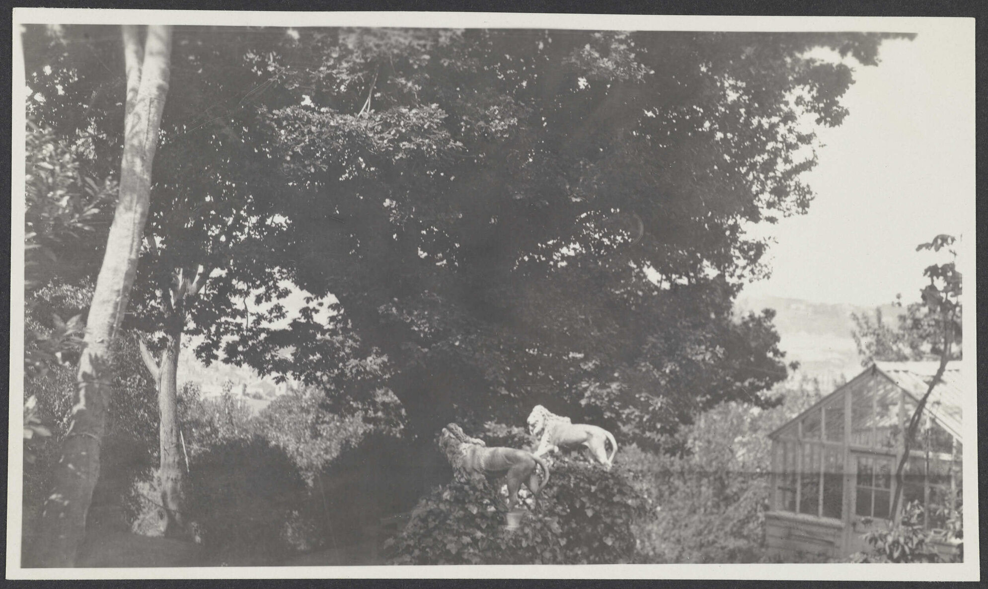 Greenhouse and lions in the garden at Manono