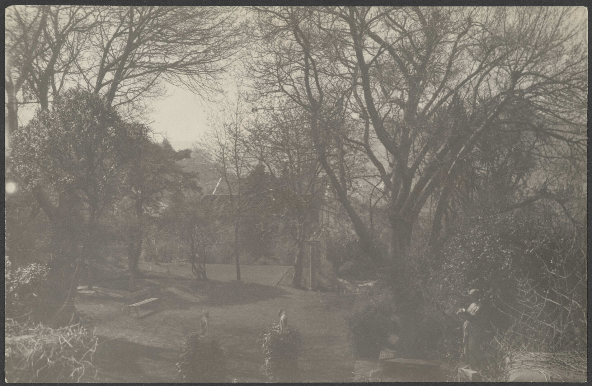 Gardens at Manono