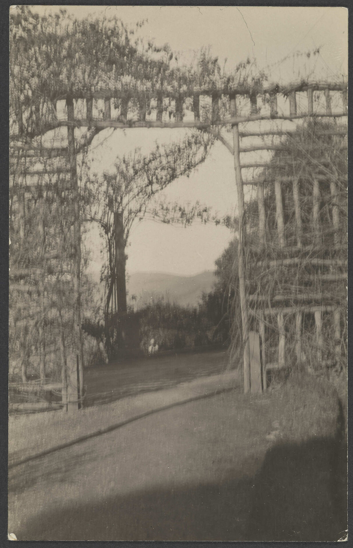 Gardens at Manono