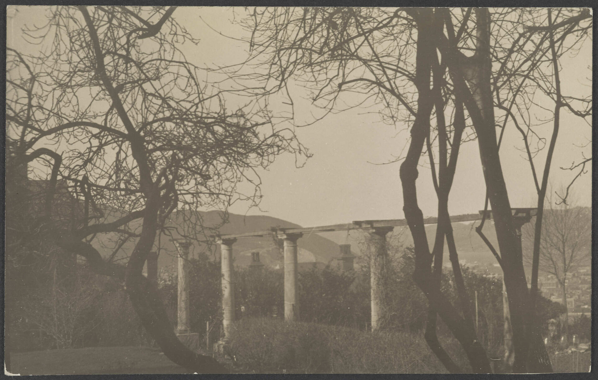 Pillars in Manono gardens