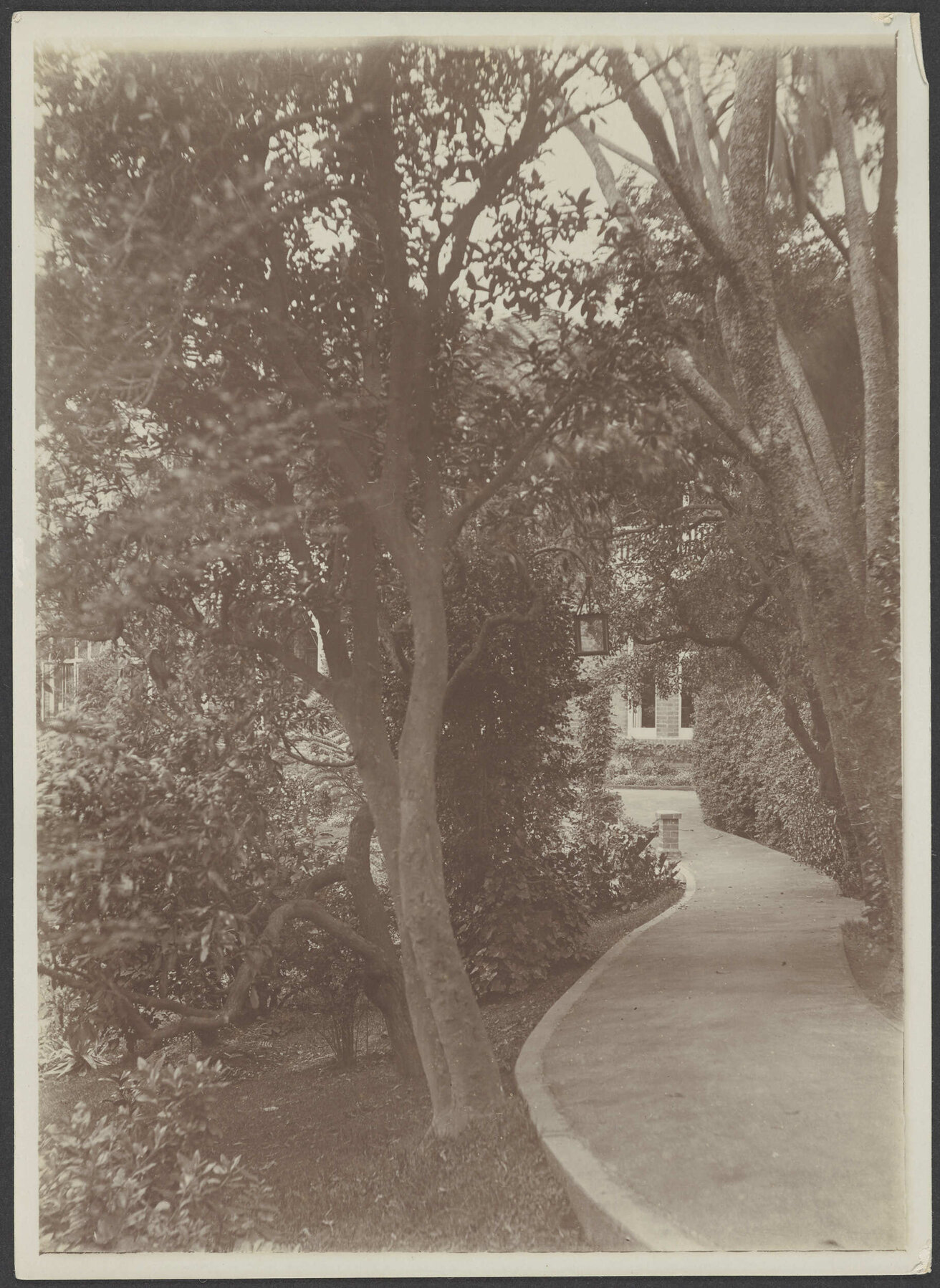 Driveway to Manono