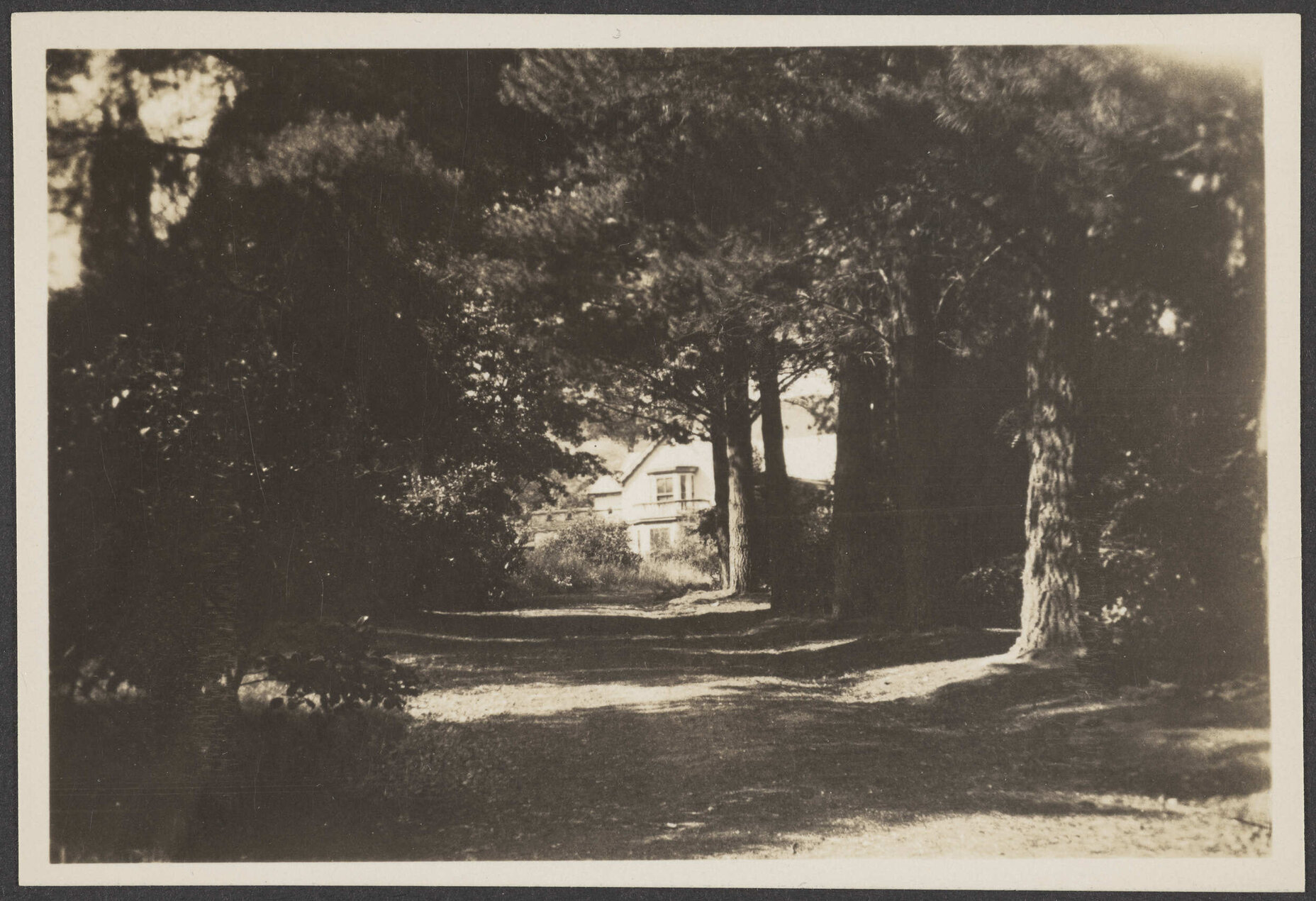 House viewed from the driveway