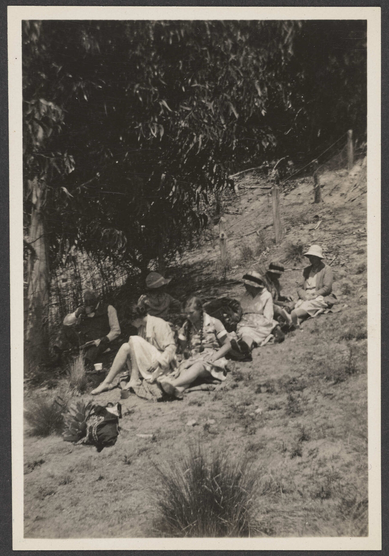 Group of people sitting under a tree