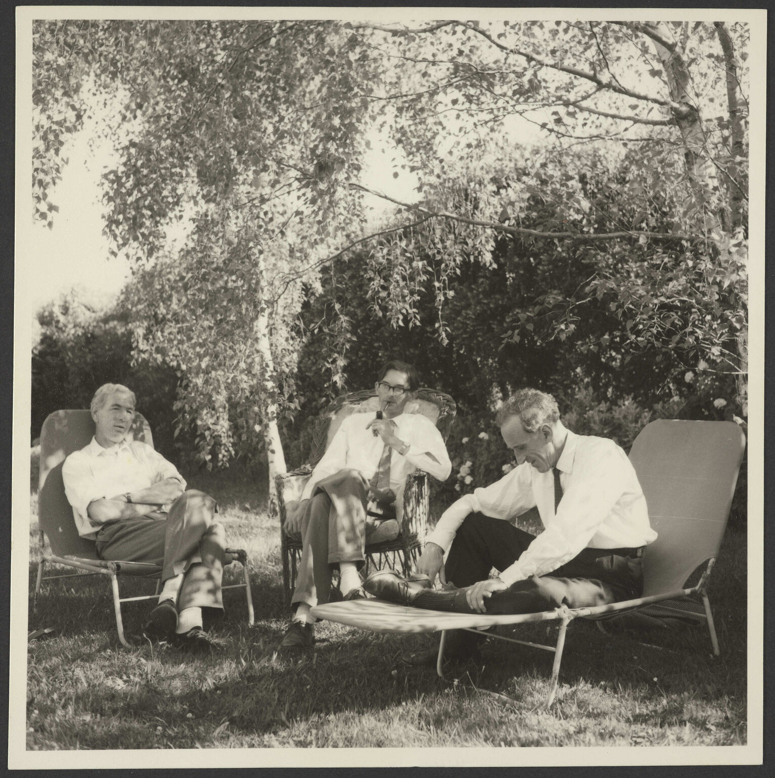 'Jean's photograph for Christmas'