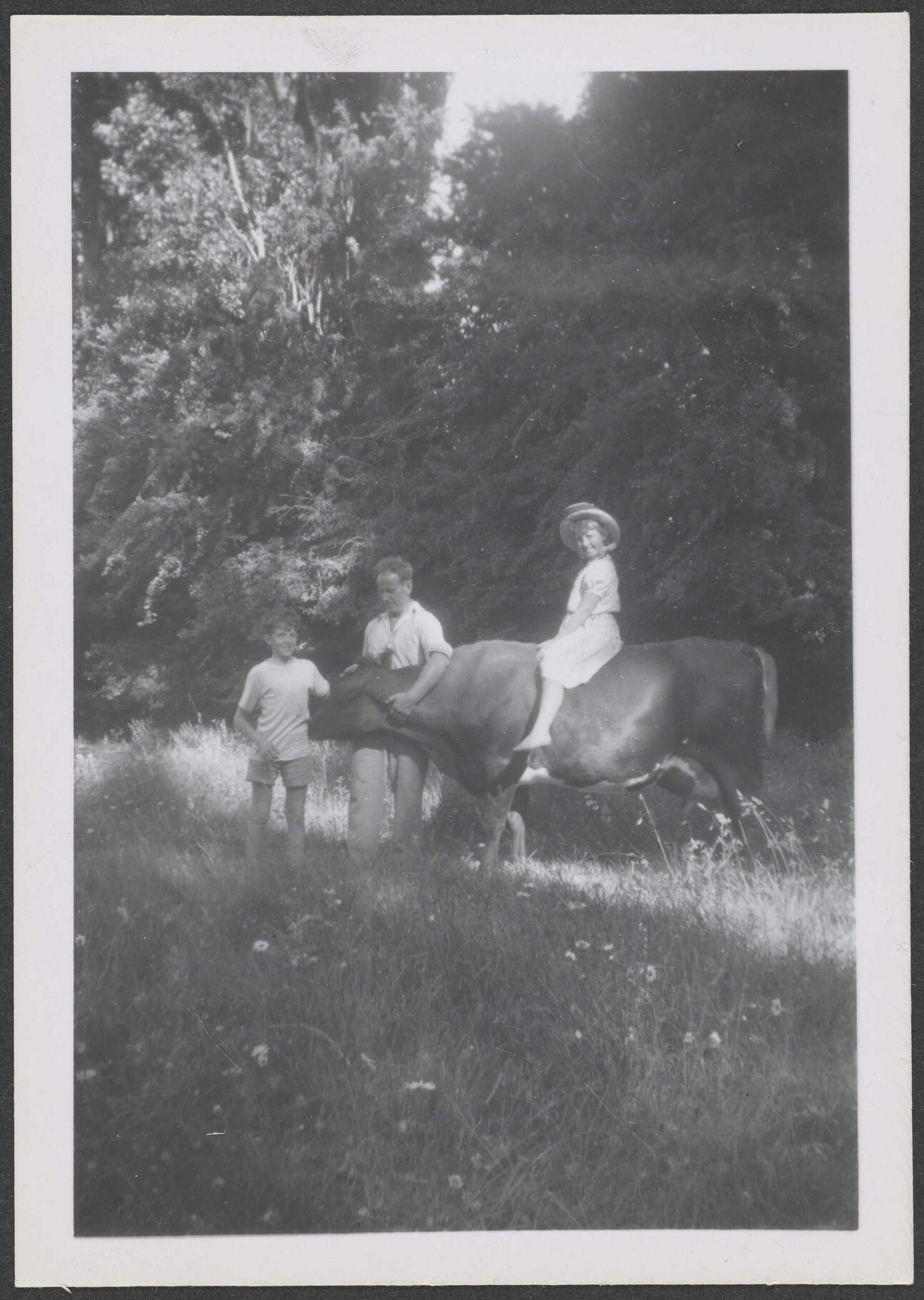 A man with two children and a cow