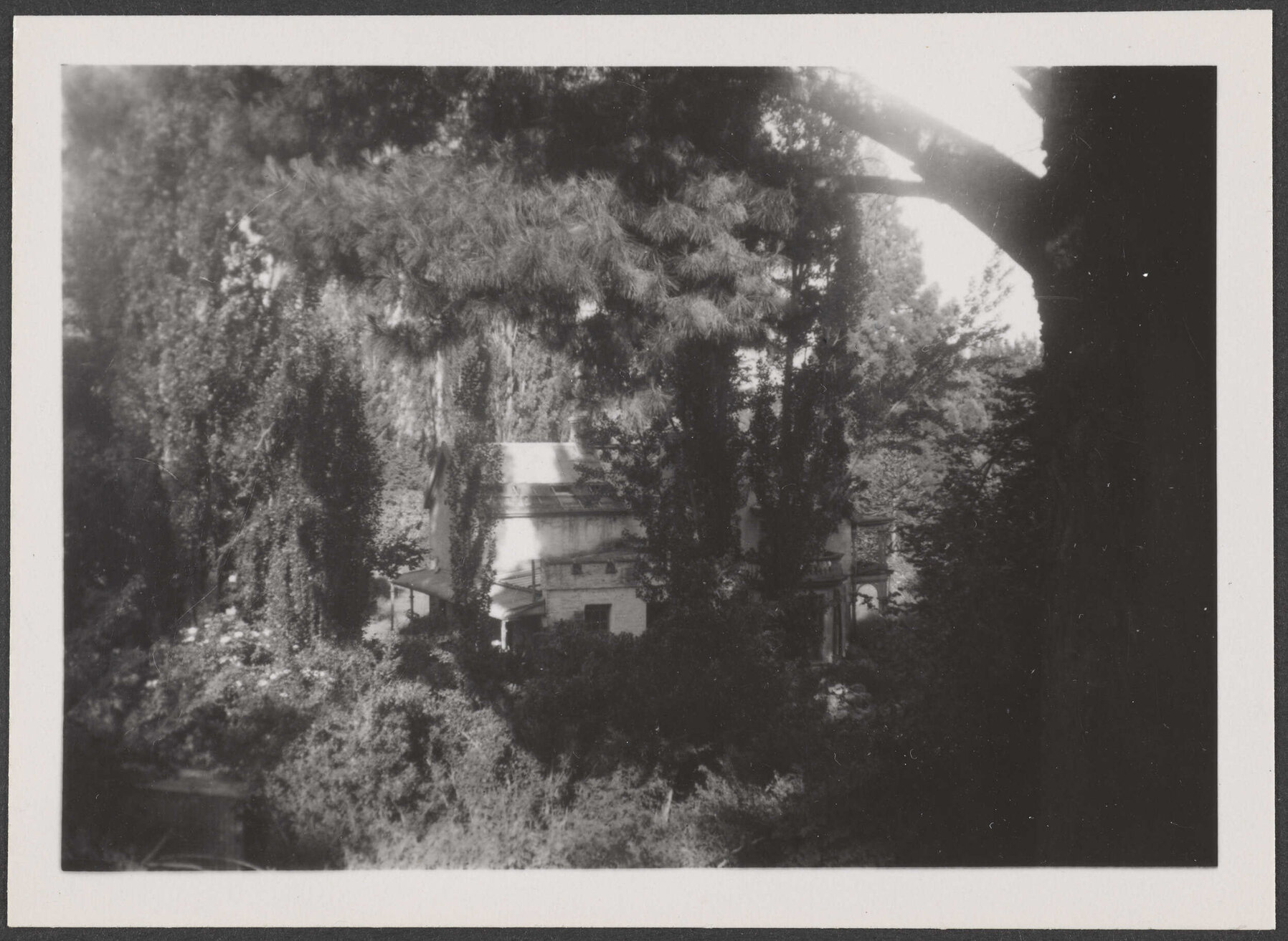 Thurlby Domain through trees