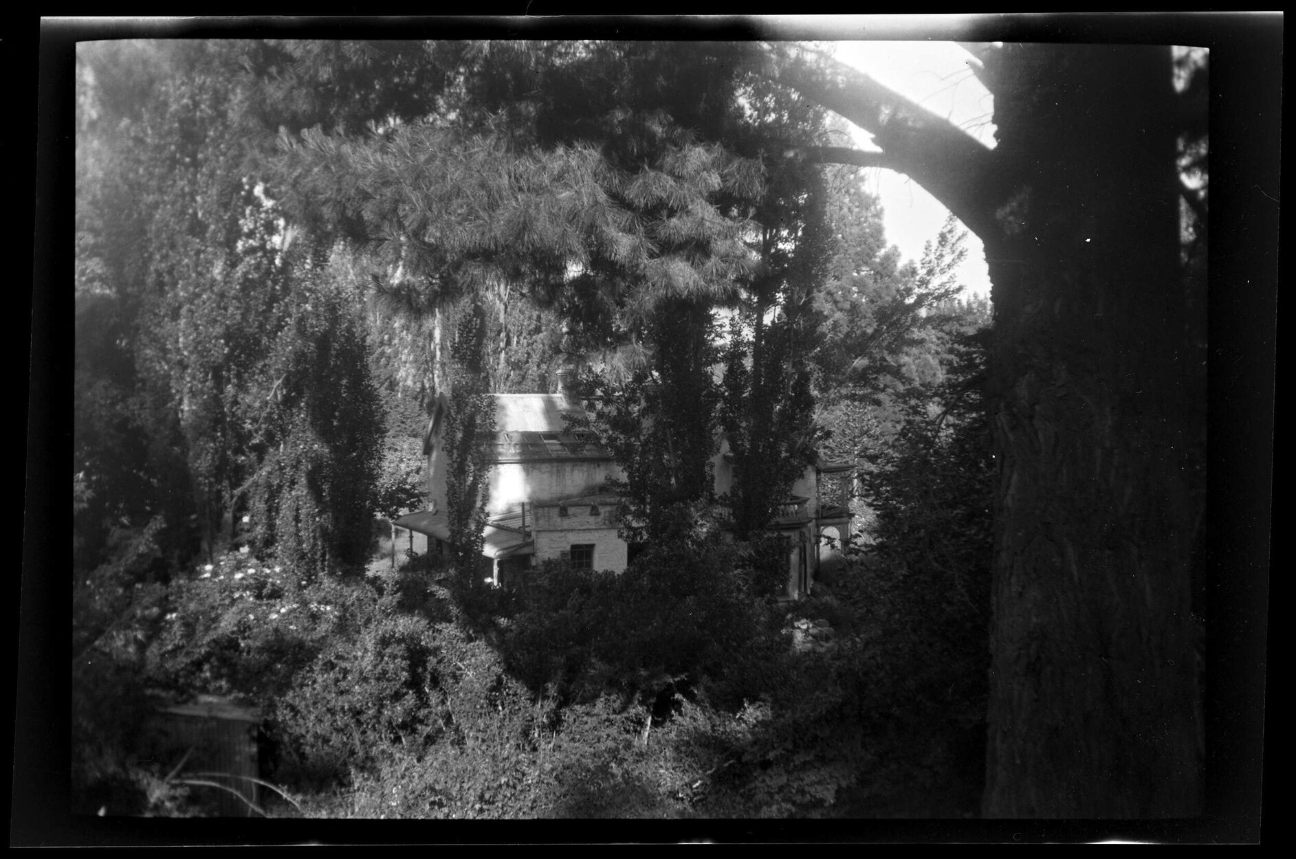 Thurlby Domain through trees