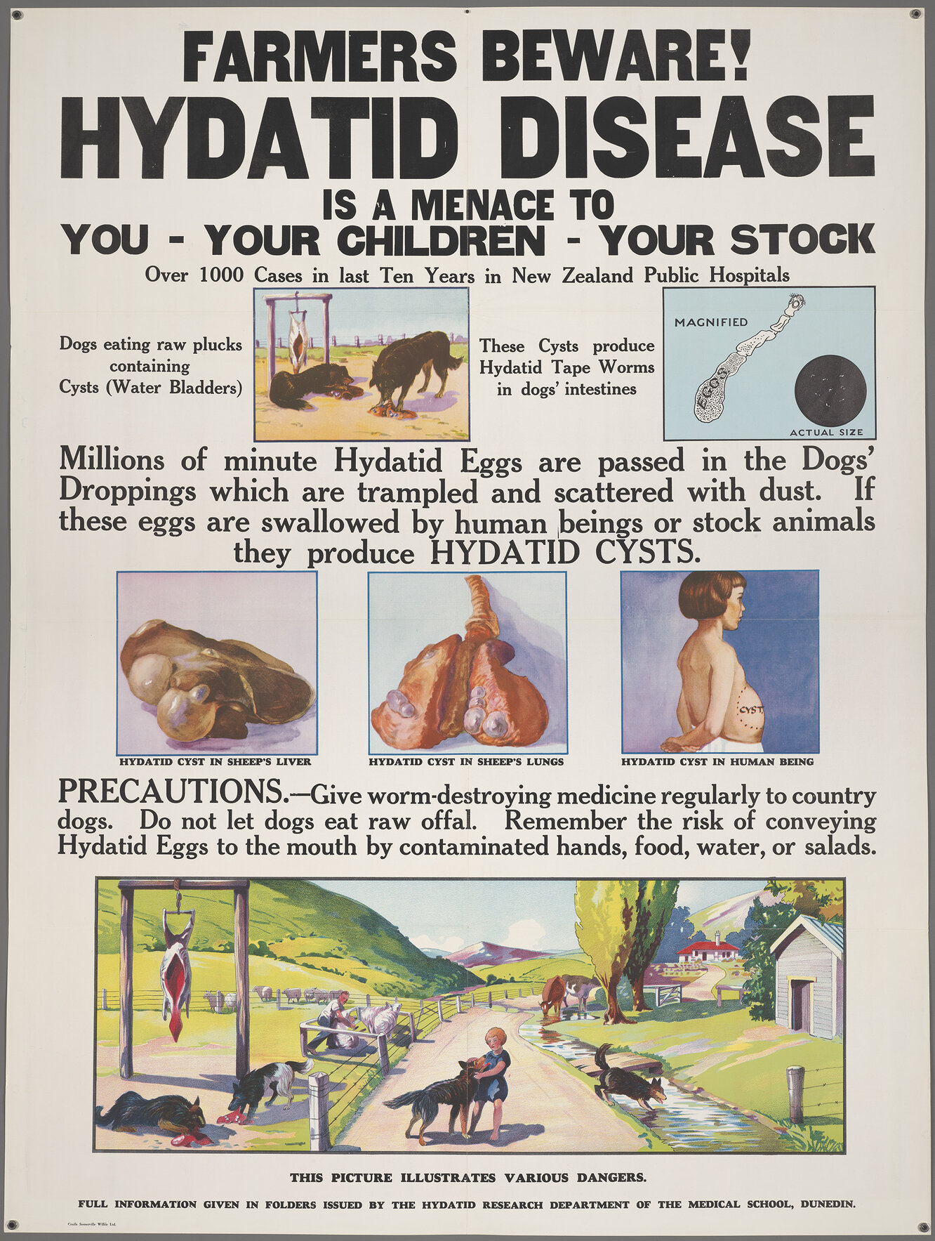 "Farmers Beware! Hydatid Disease Is A Menace To You - Your Children - Your Stock"