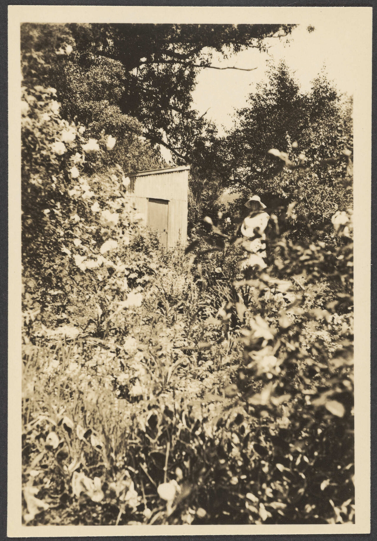 Woman in a garden by a shed