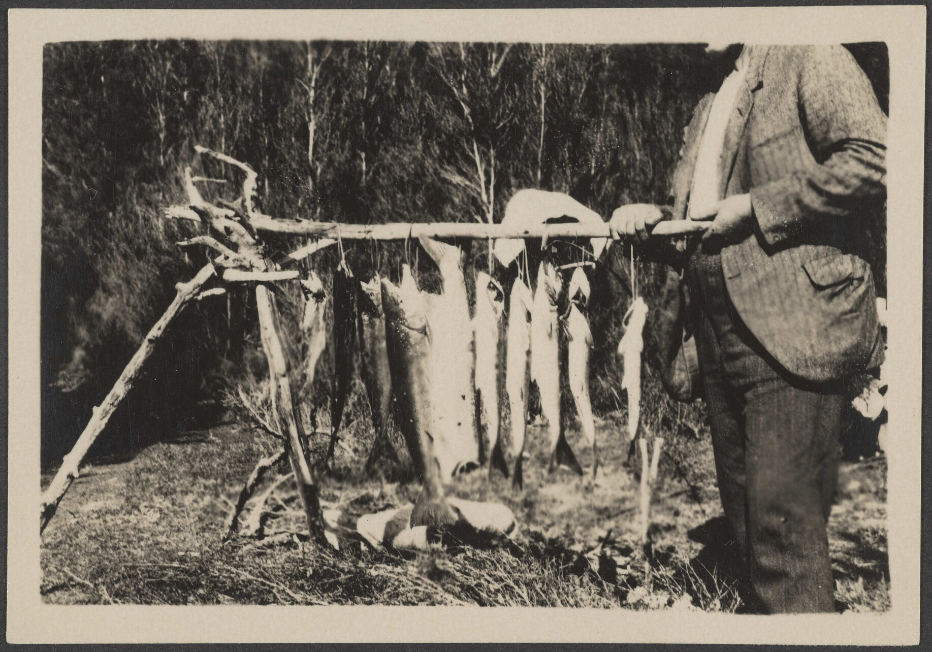 Man holding stick with dead fish
