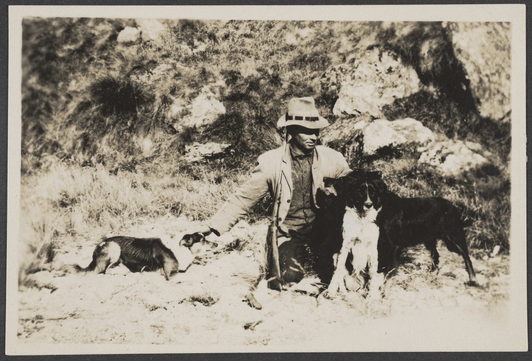 Man with two dogs